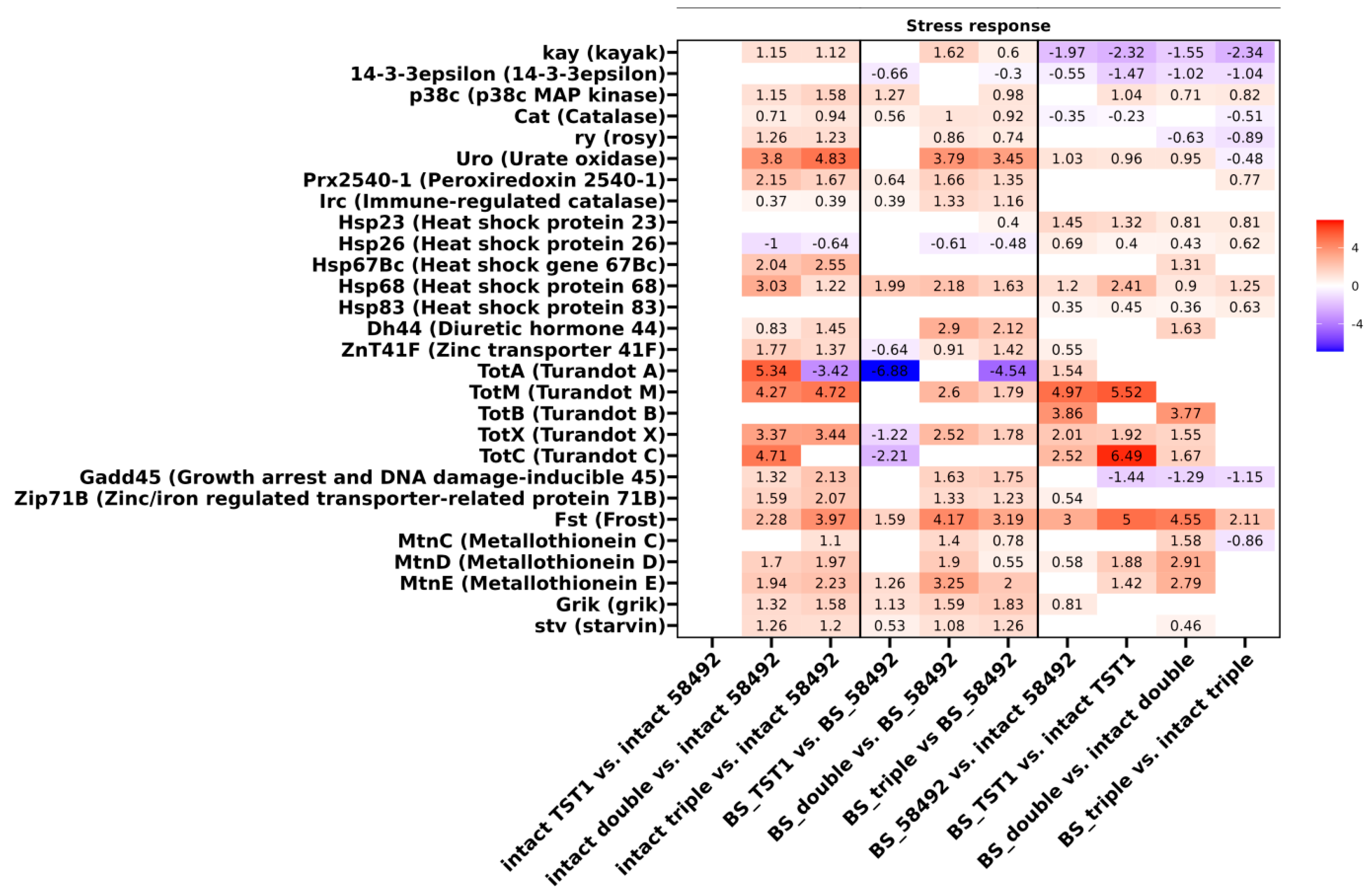 Preprints 218714 g006 Preprints 218714 g006