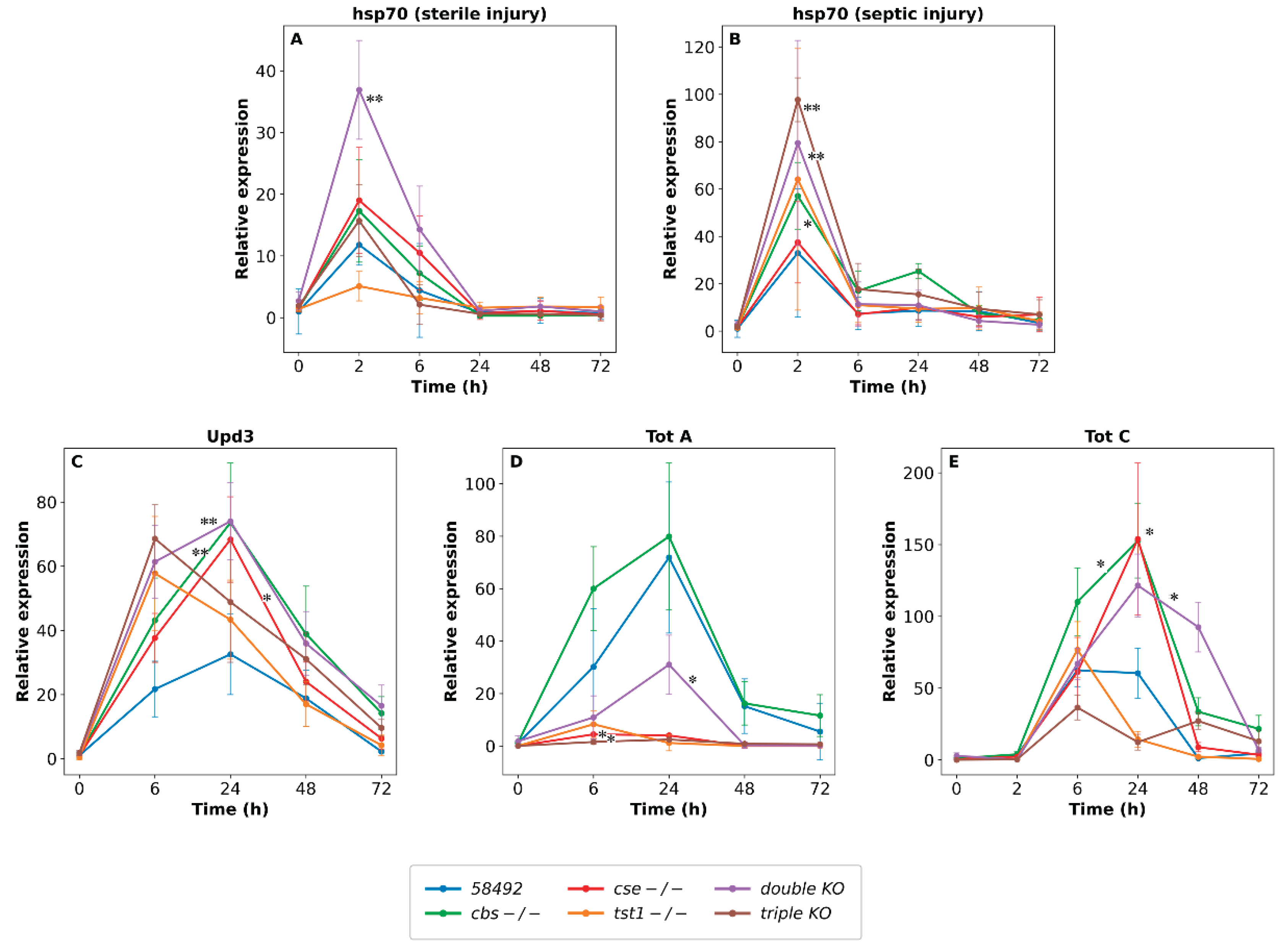 Preprints 218714 g007 Preprints 218714 g007
