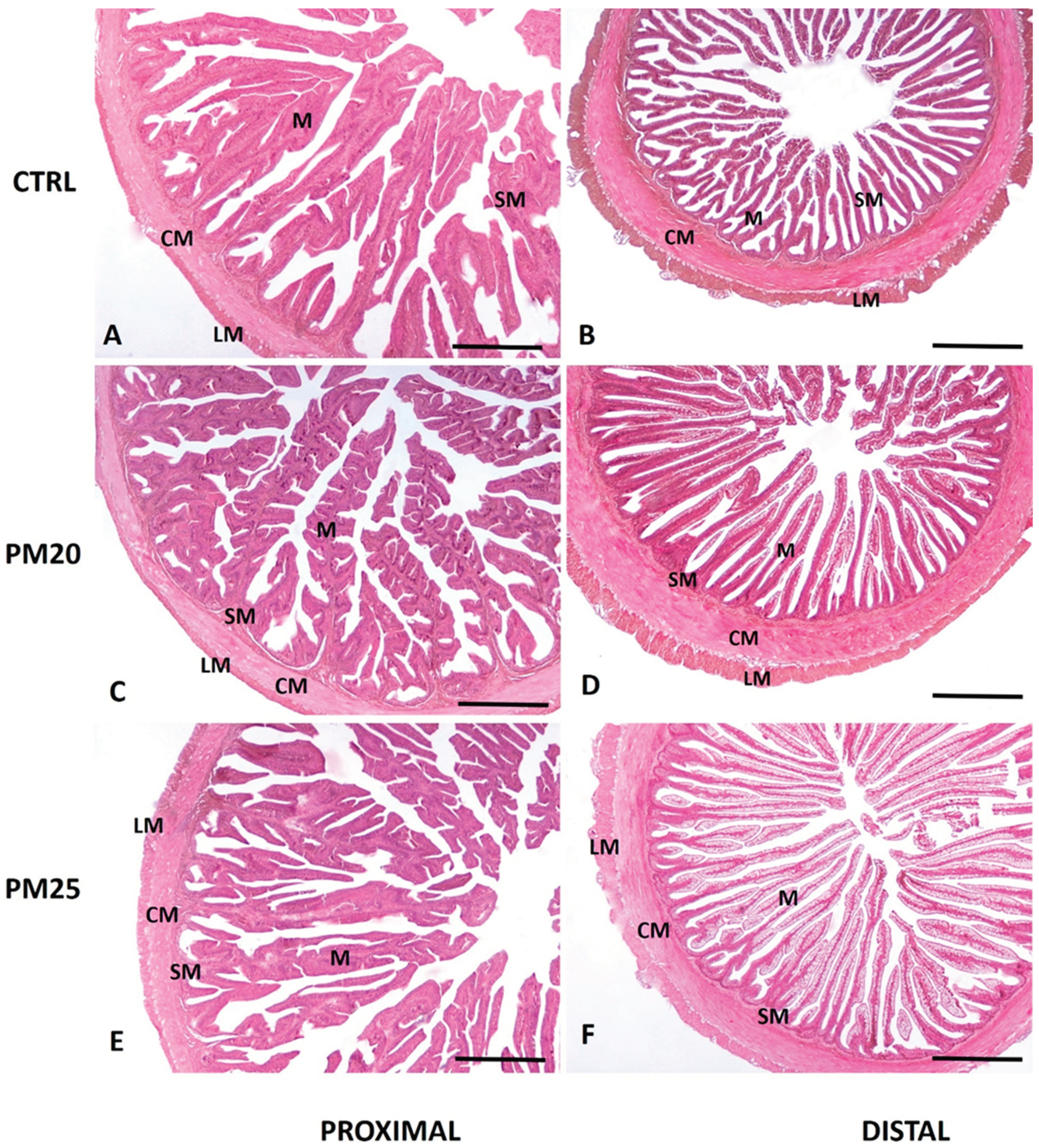 Preprints 100580 g001