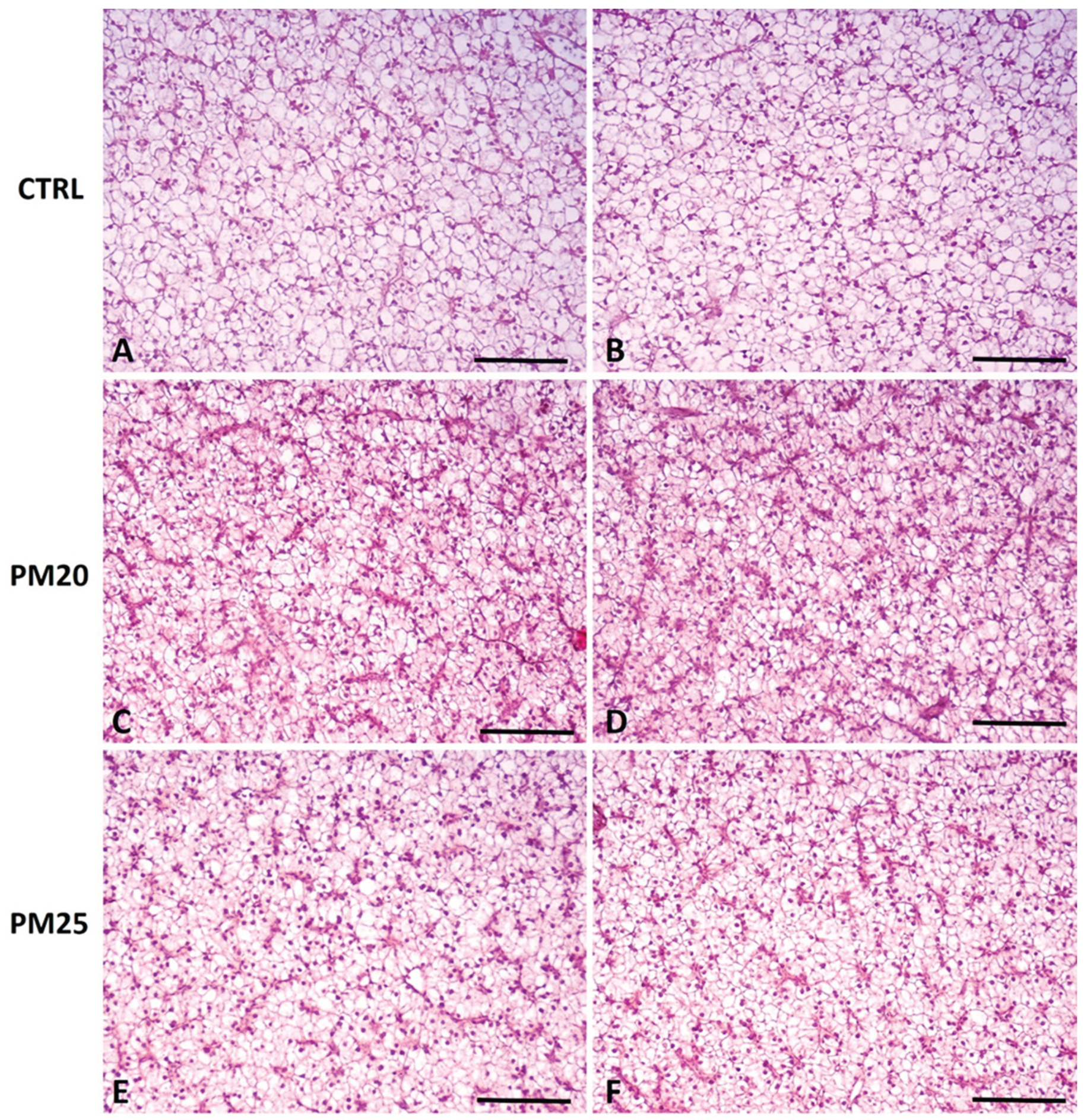 Preprints 100580 g002