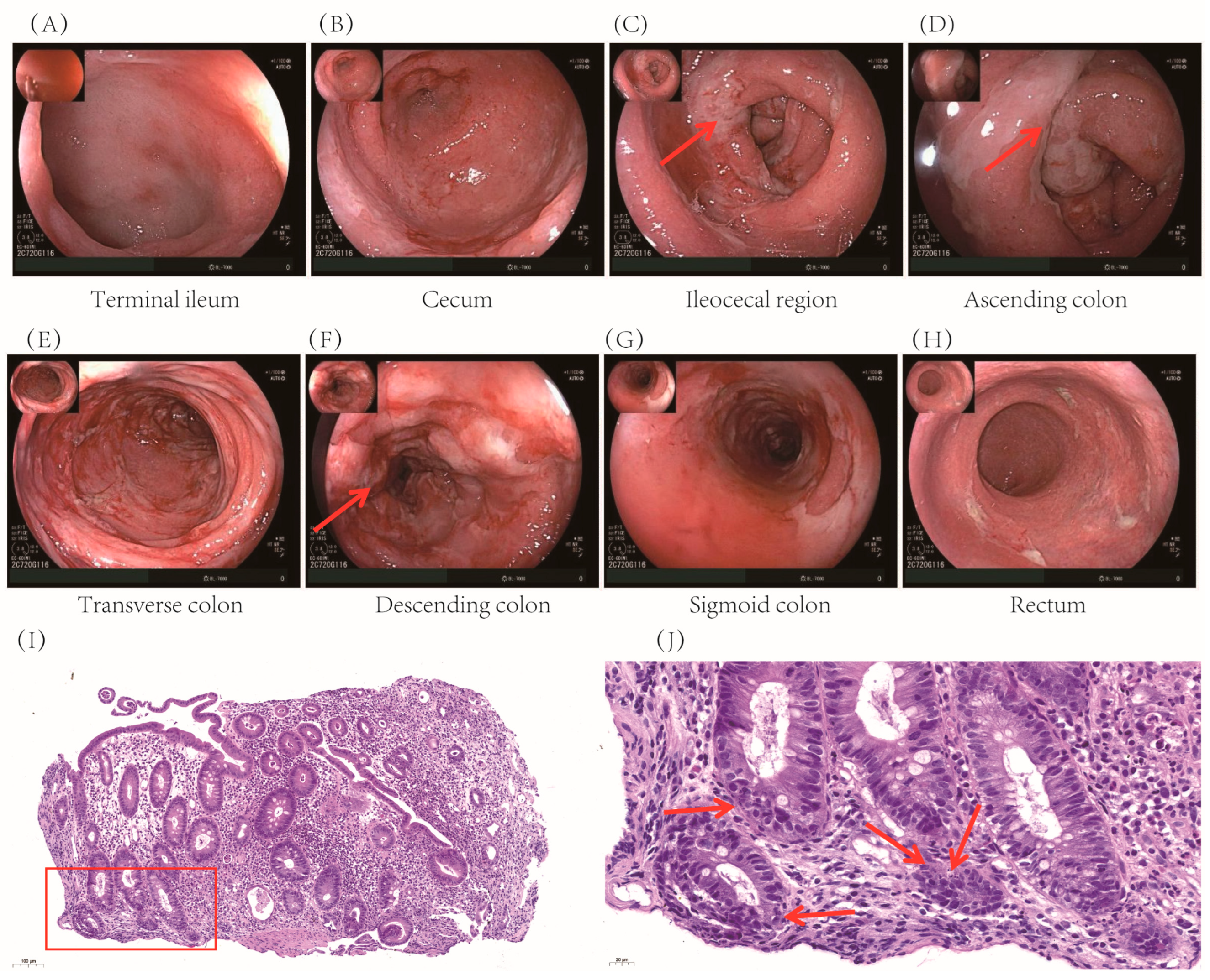 Preprints 165256 g001