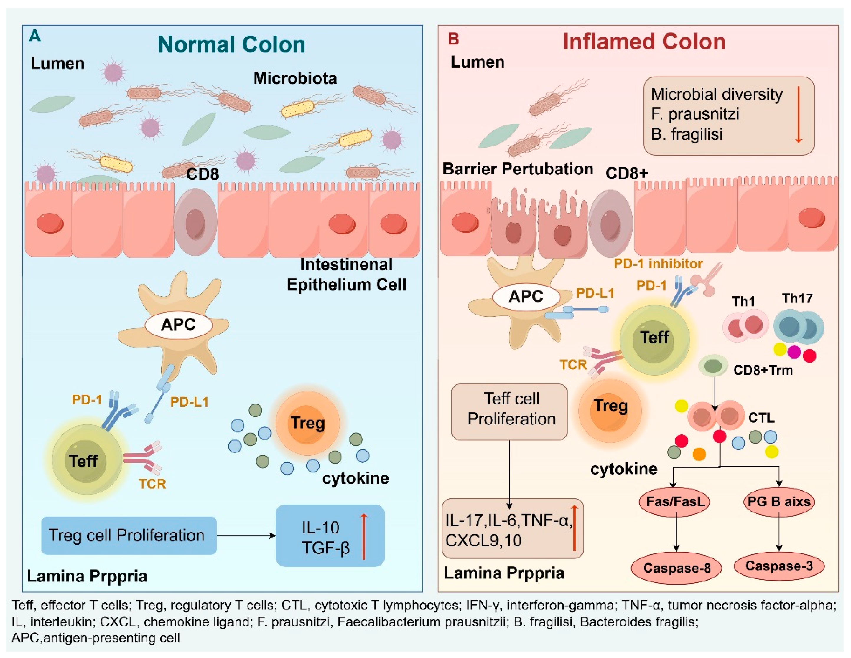 Preprints 165256 g003