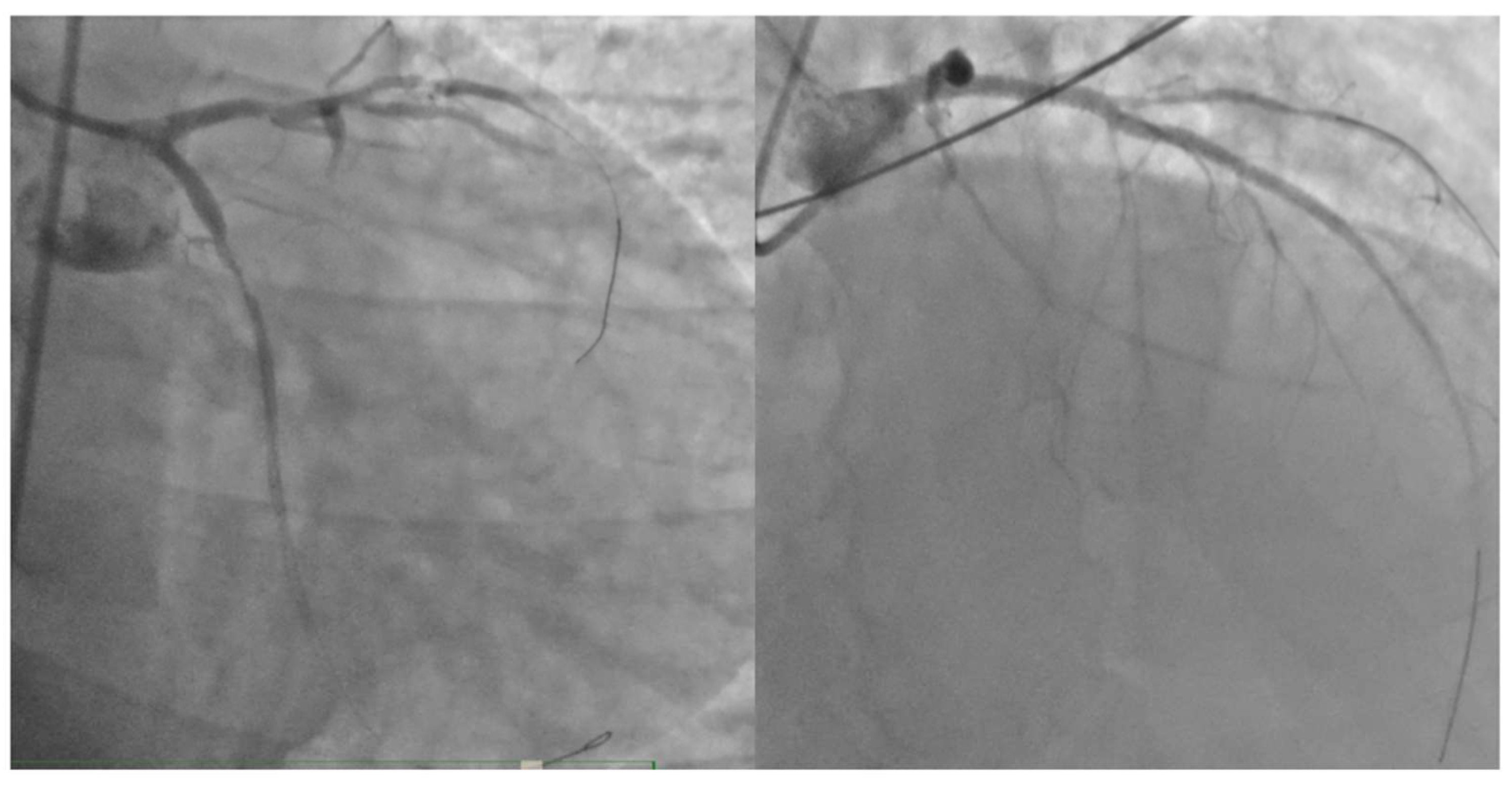 Preprints 139054 g003