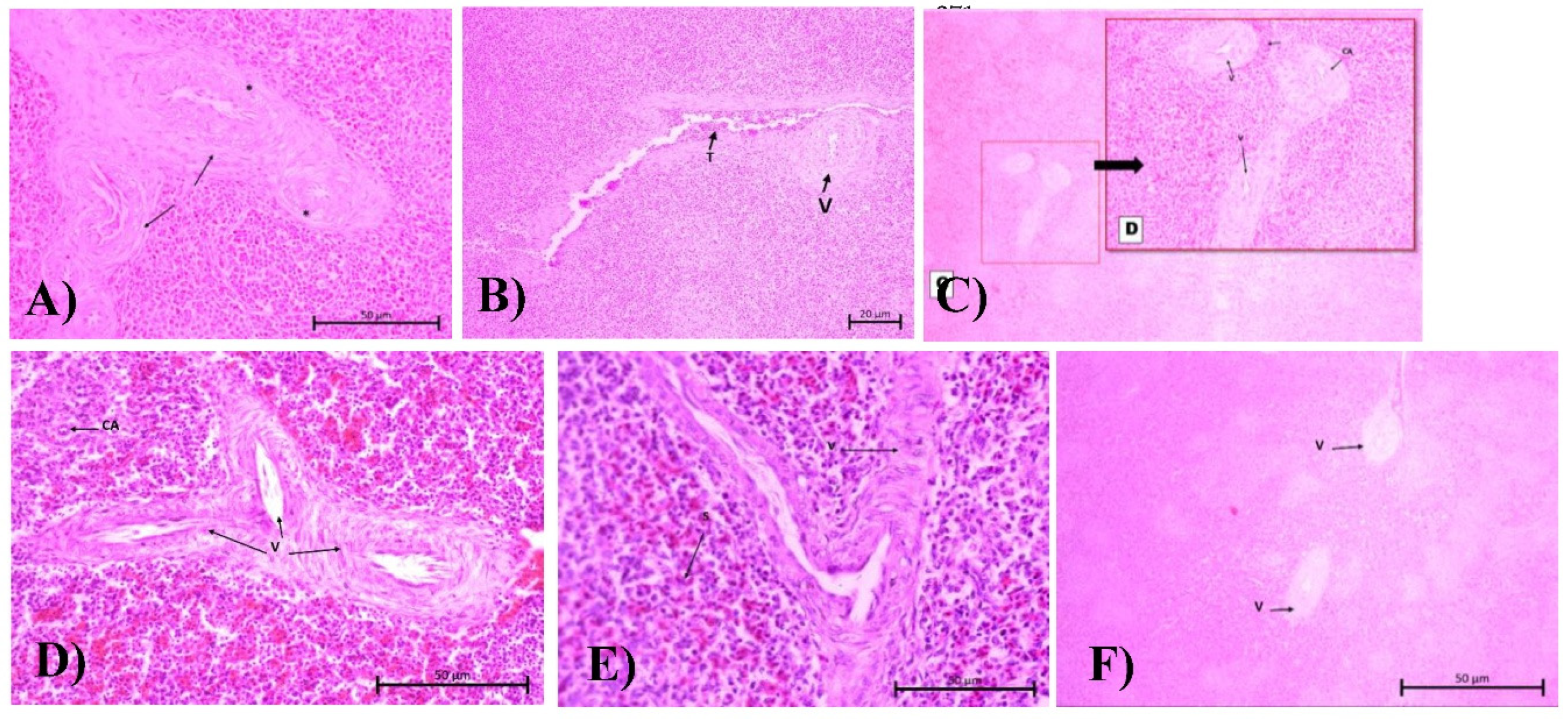 Preprints 174985 g003