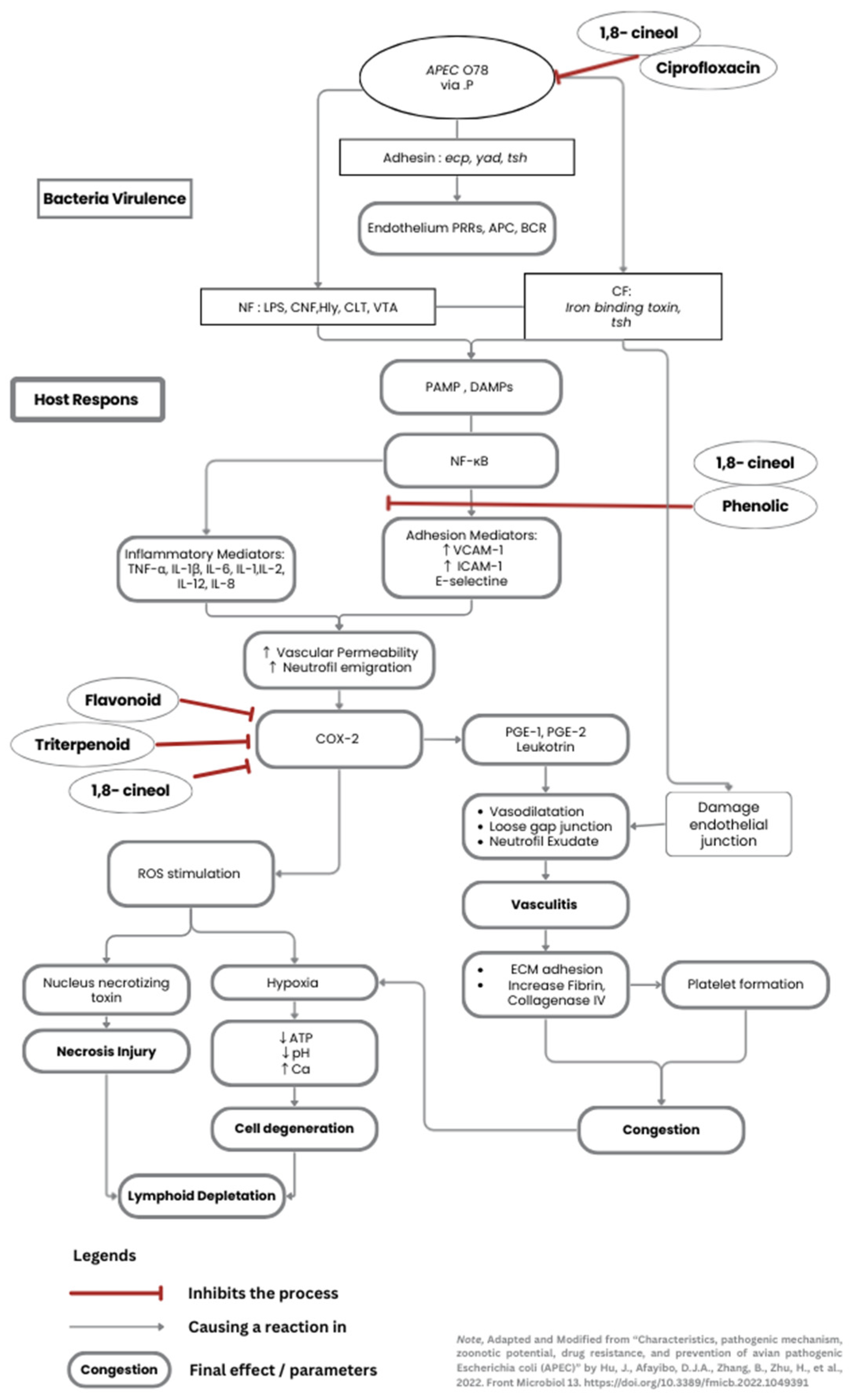 Preprints 174985 g004