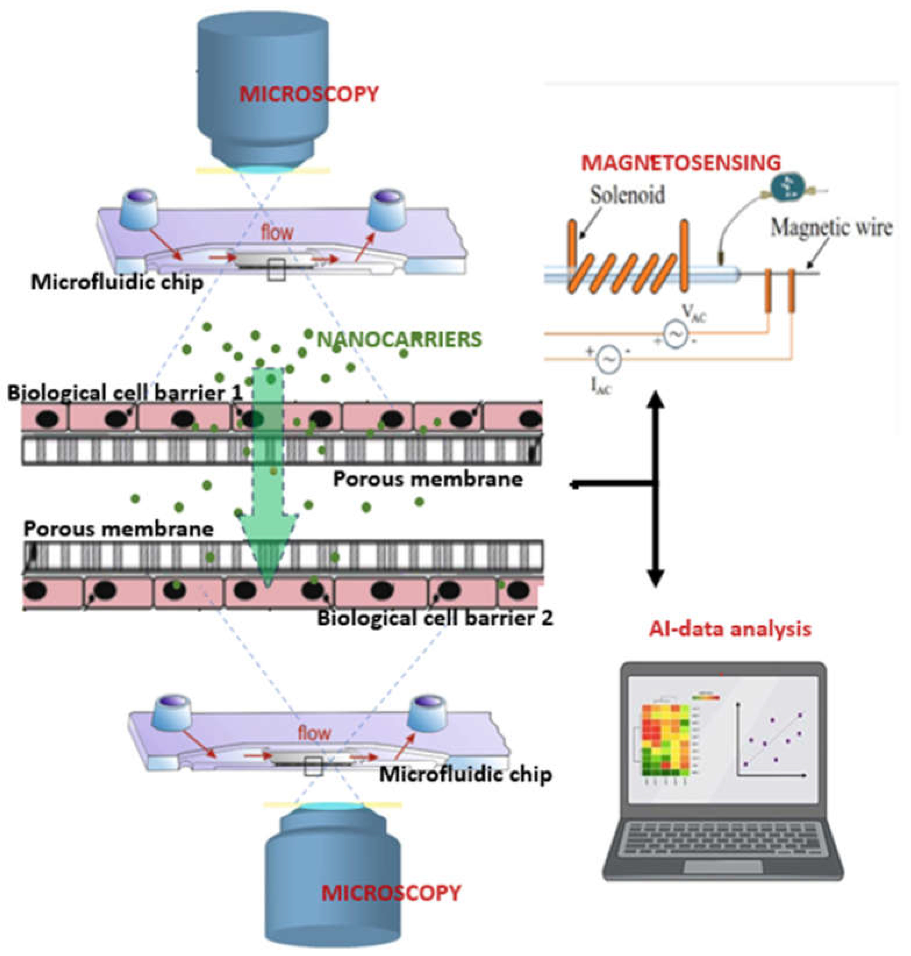 Preprints 220679 g001