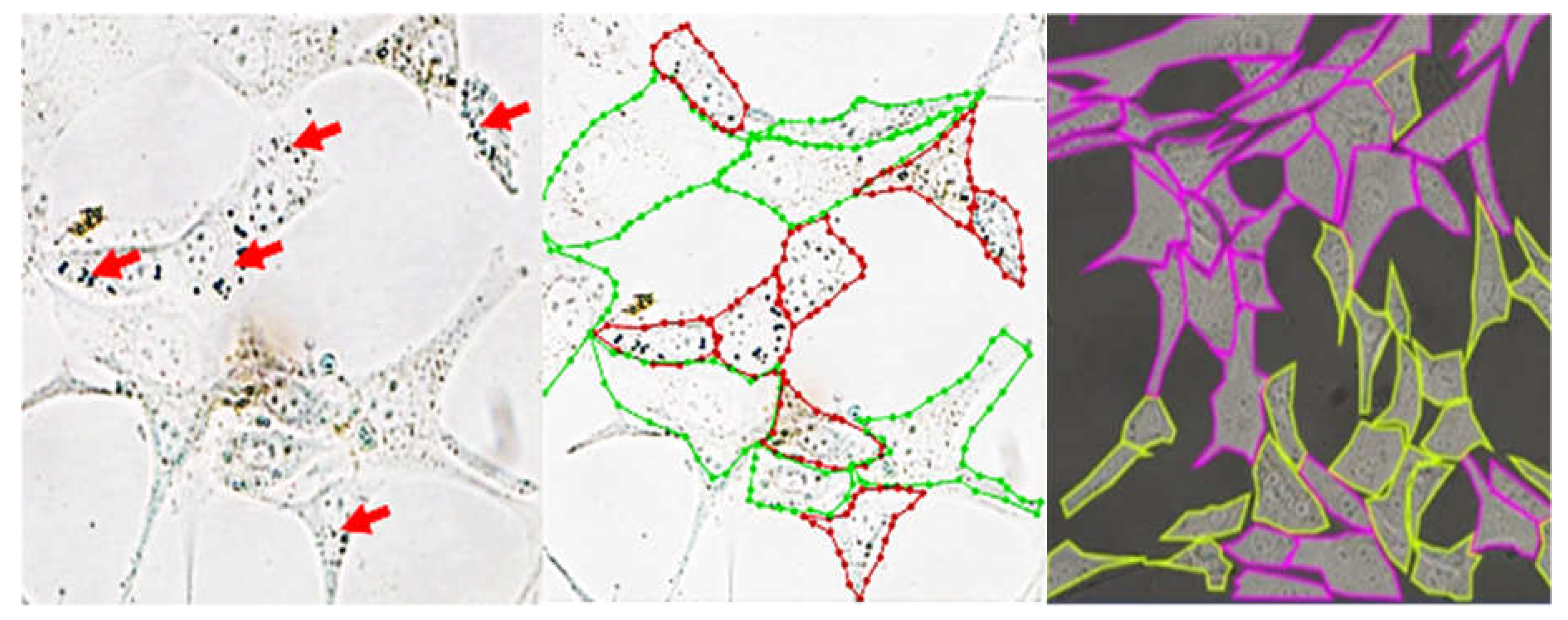 Preprints 220679 g002