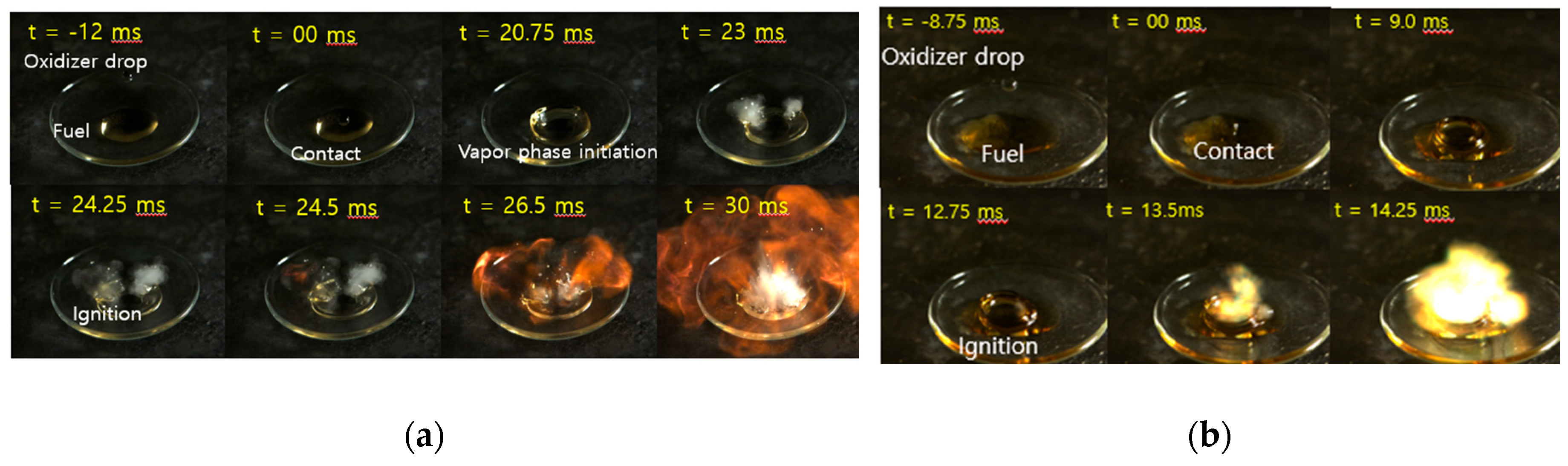 Preprints 162014 g003