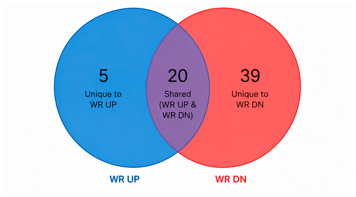 Preprints 230096 g004 Preprints 230096 g004