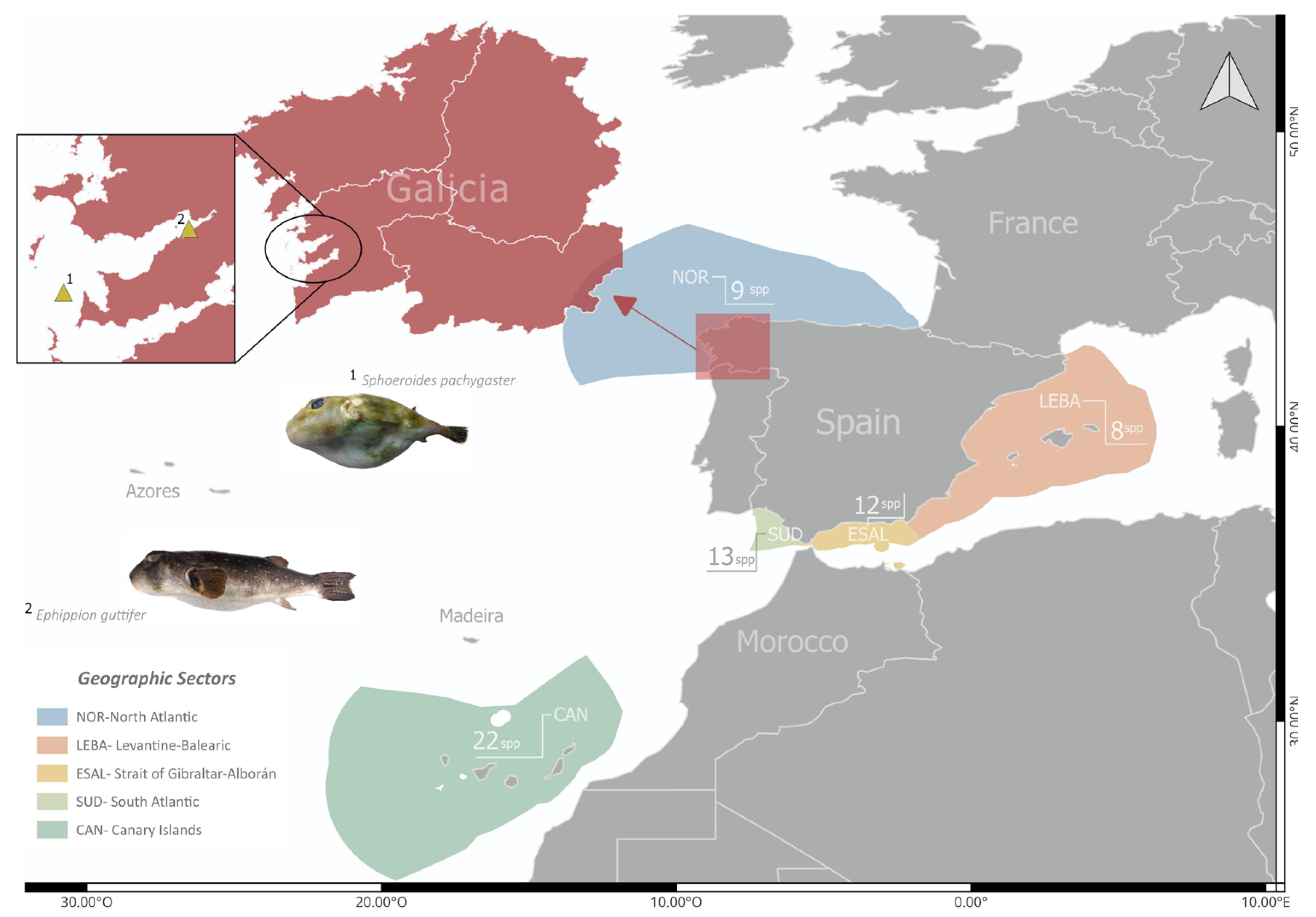 Preprints 195756 g001