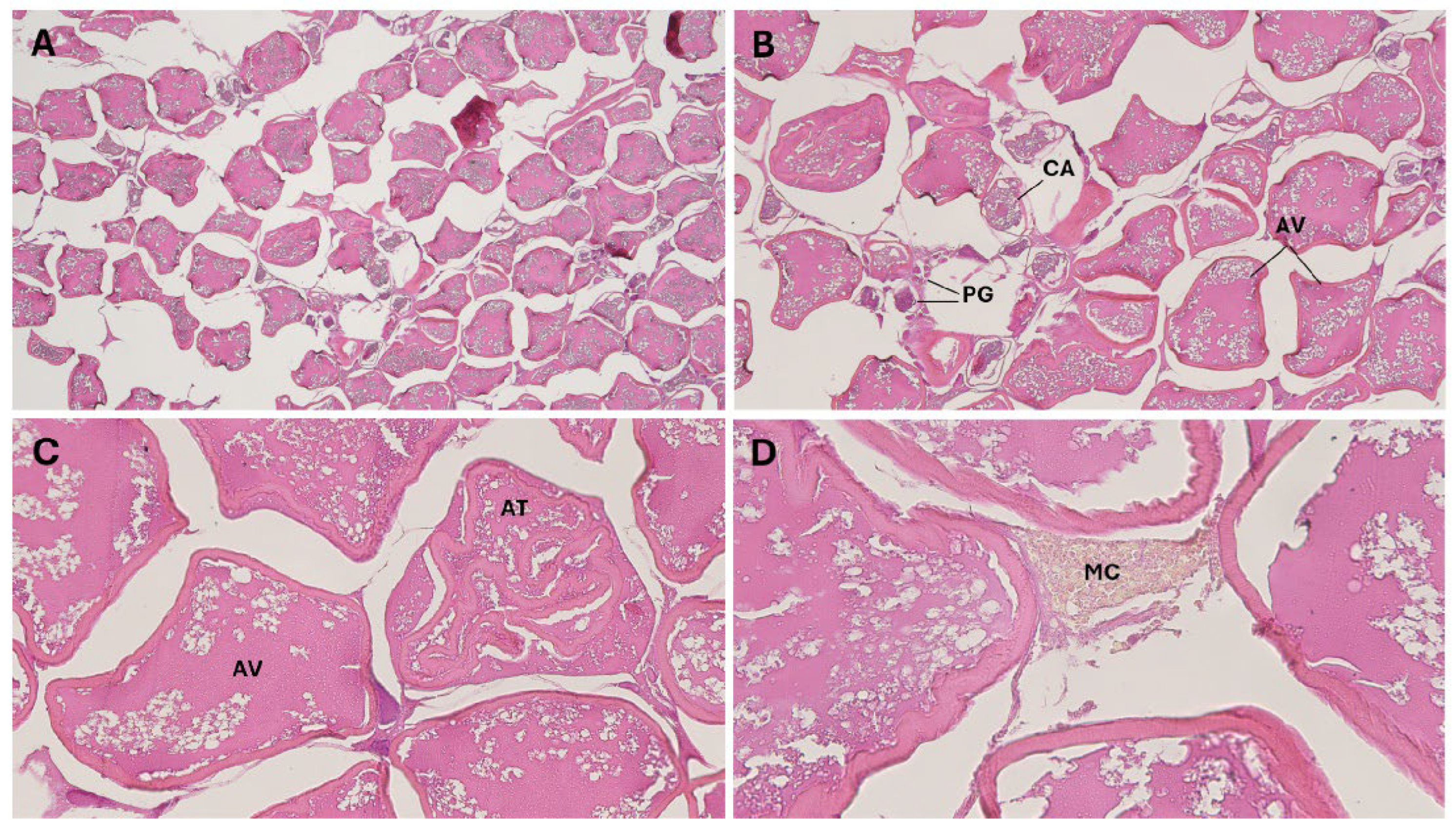 Preprints 195756 g004