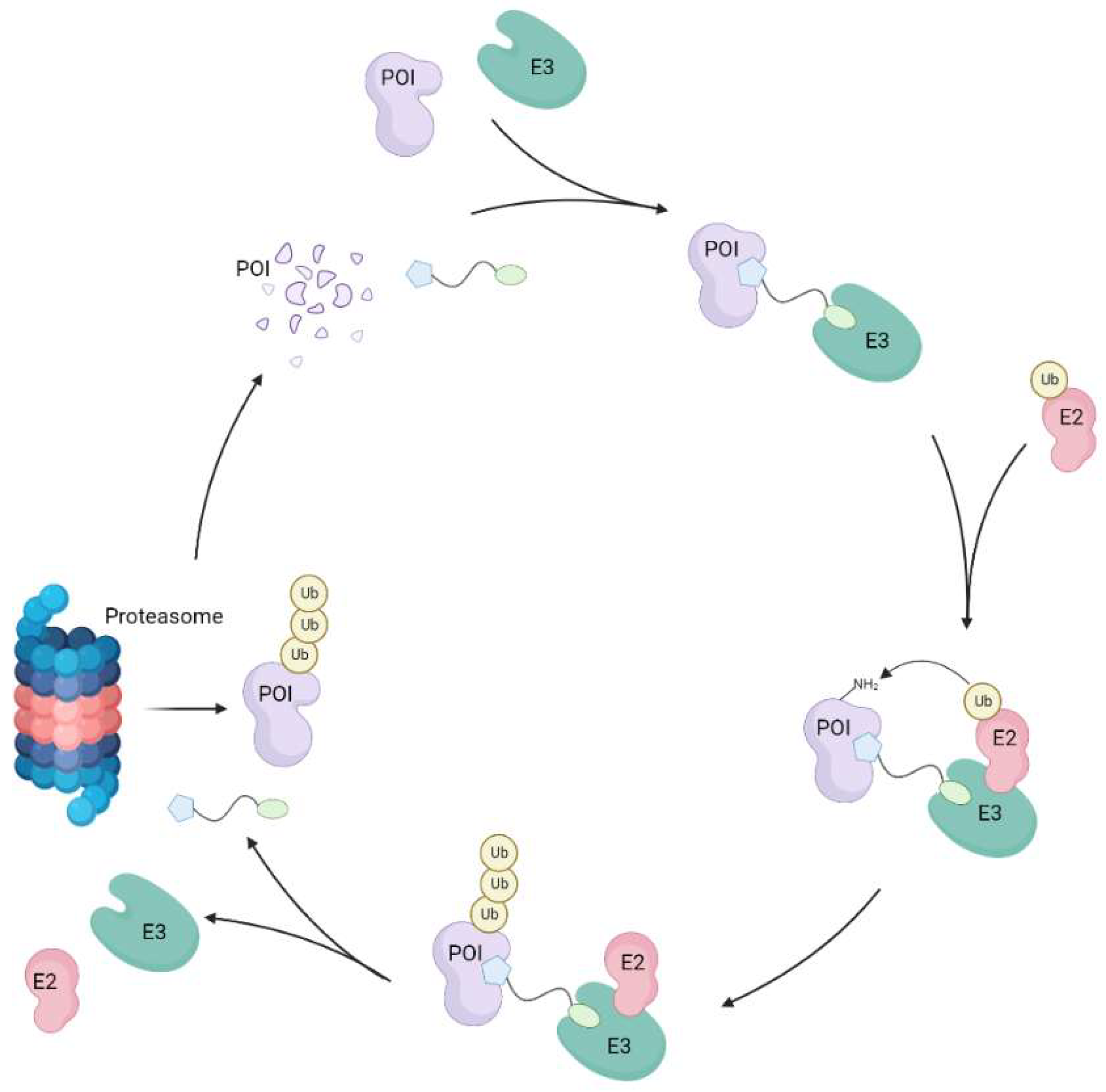 Preprints 182929 g001