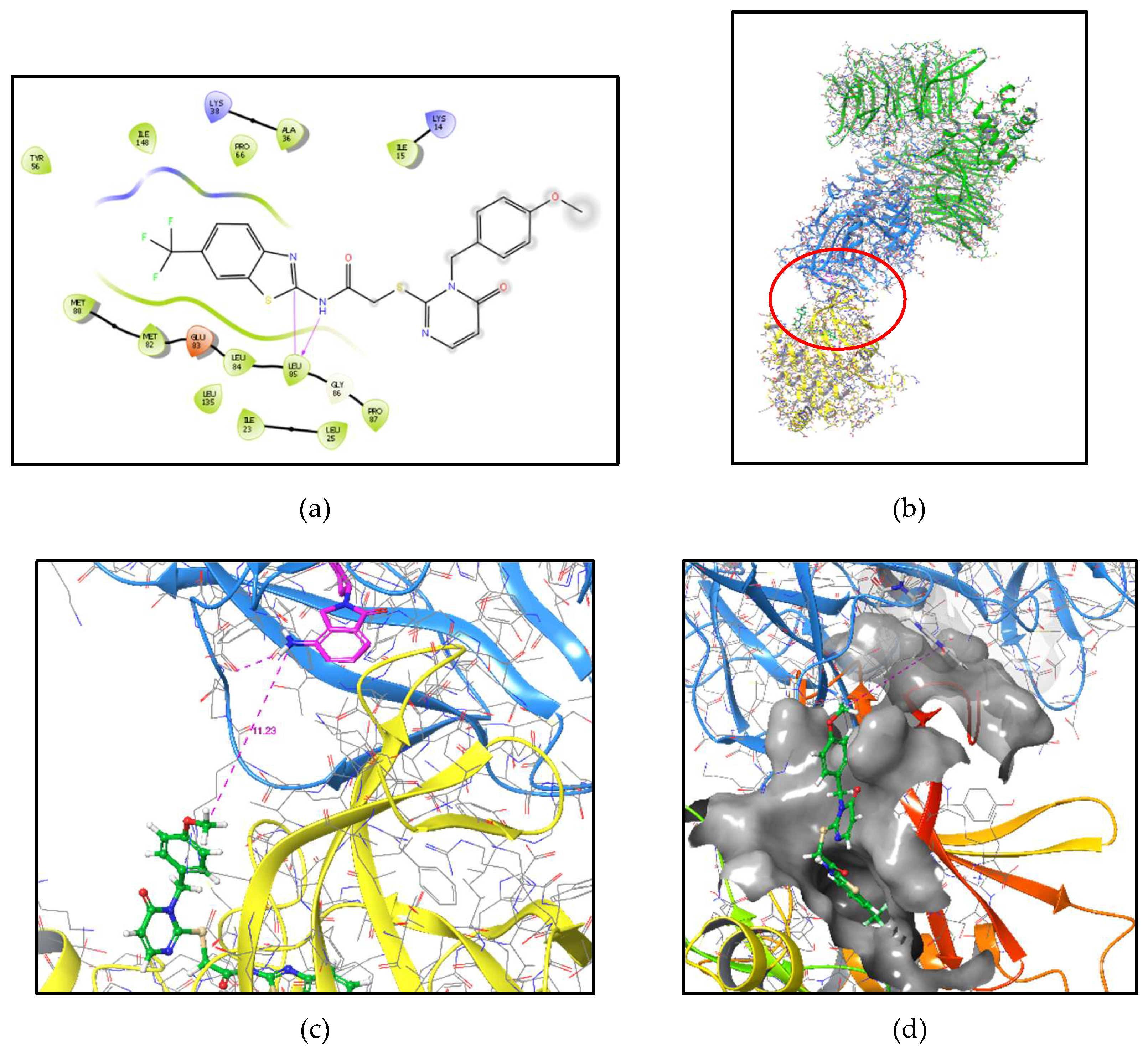 Preprints 182929 g002