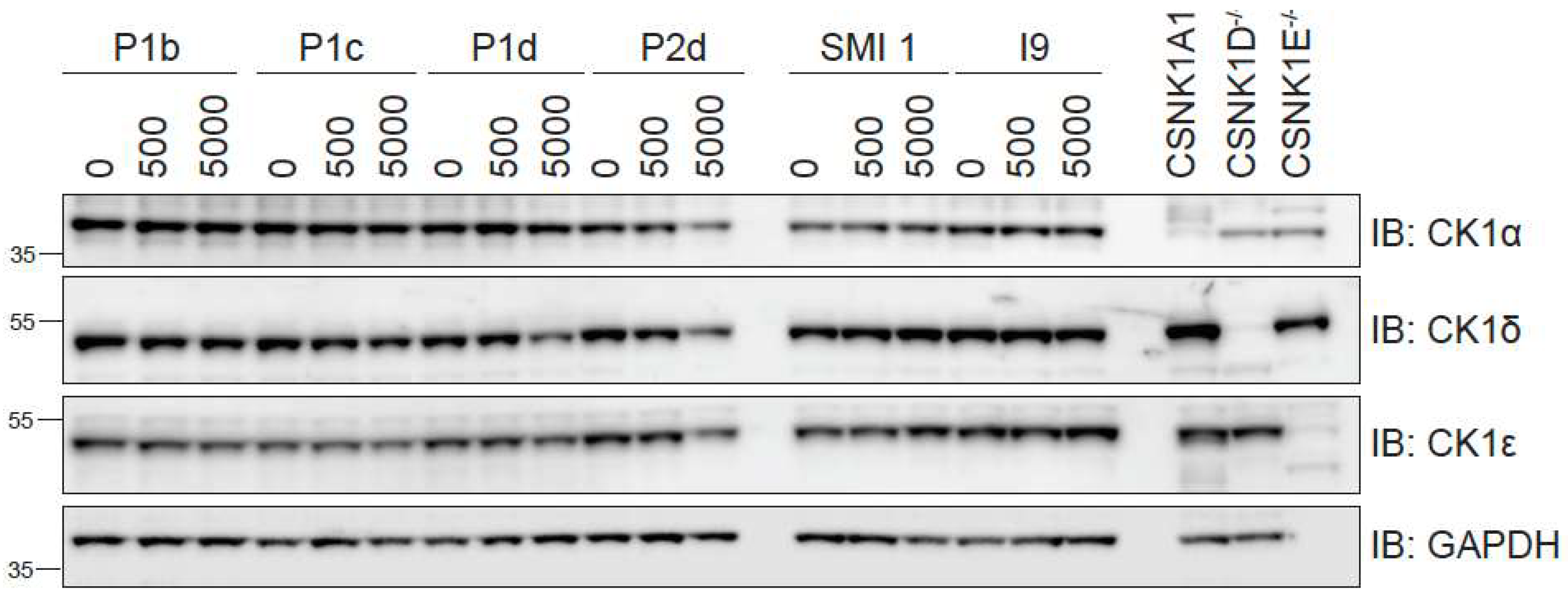 Preprints 182929 g004