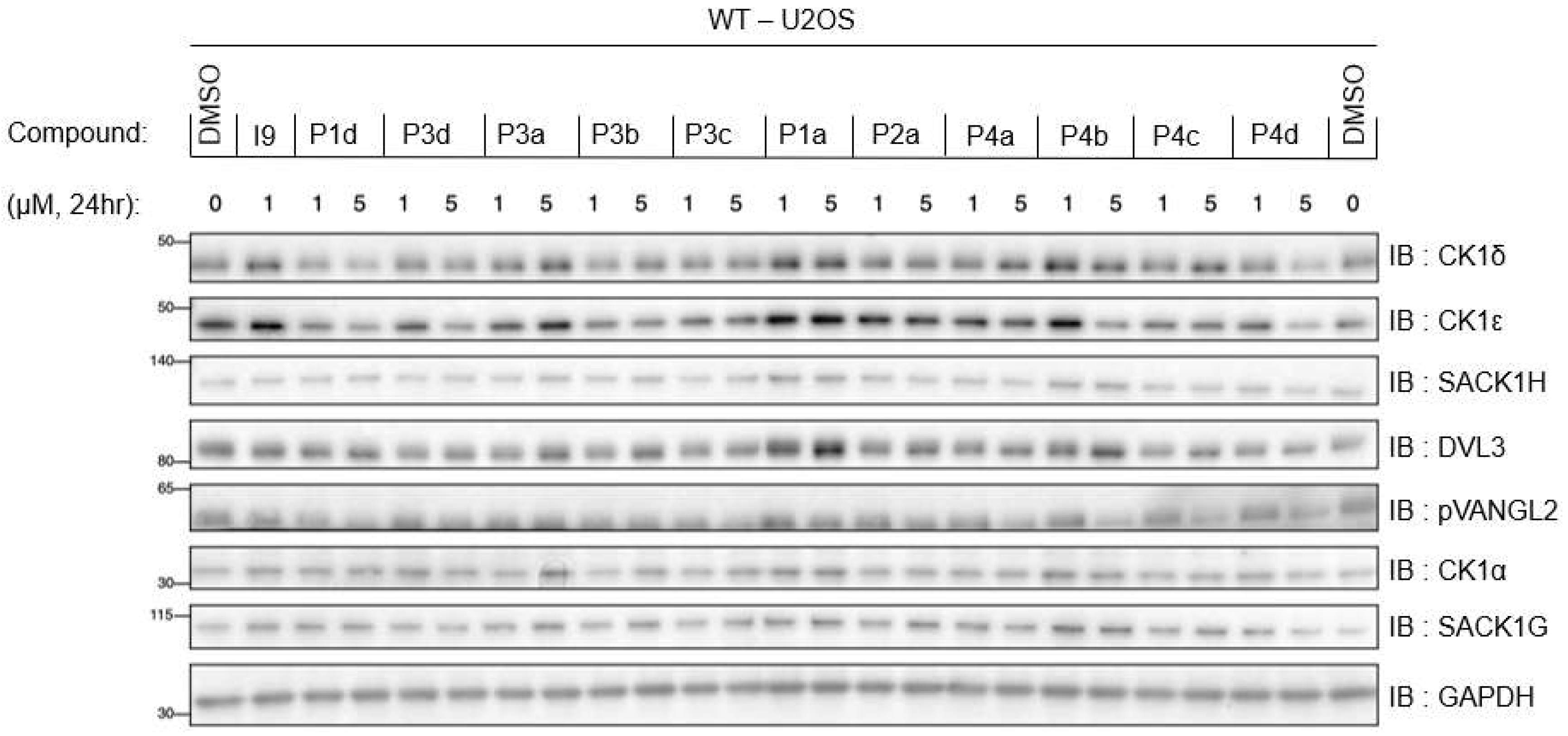 Preprints 182929 g005