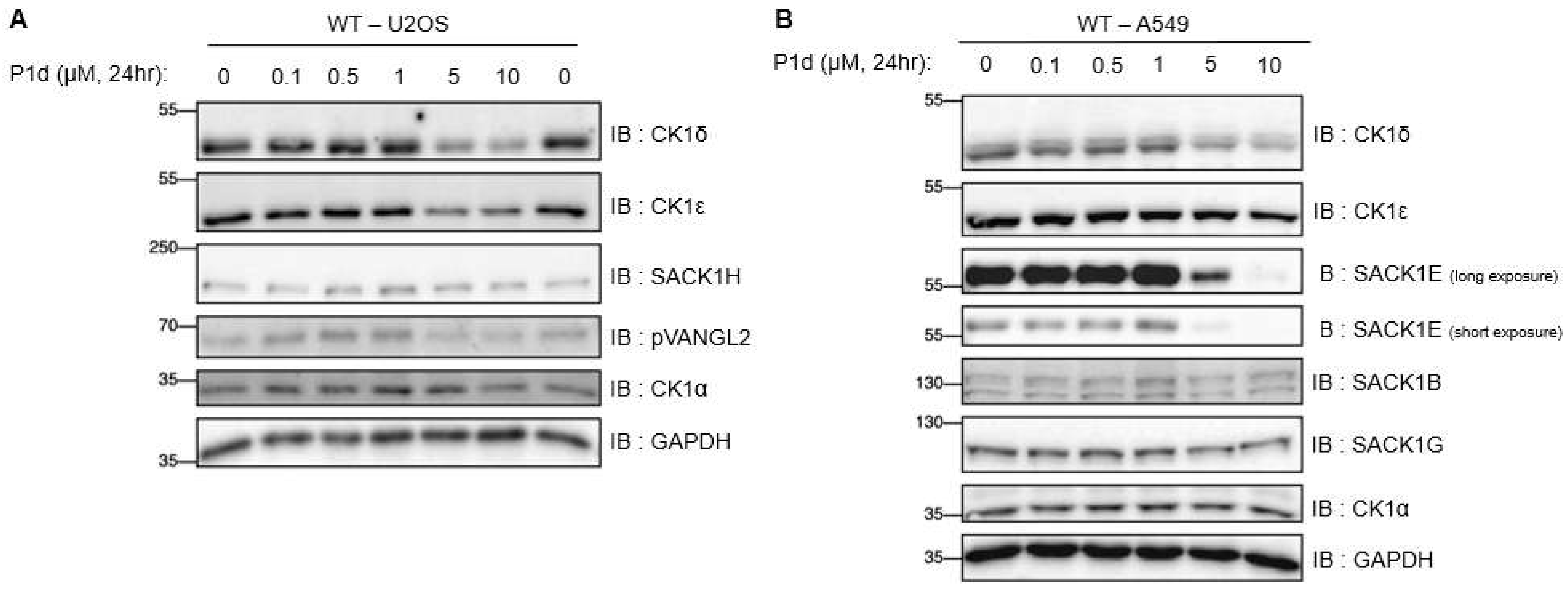 Preprints 182929 g007