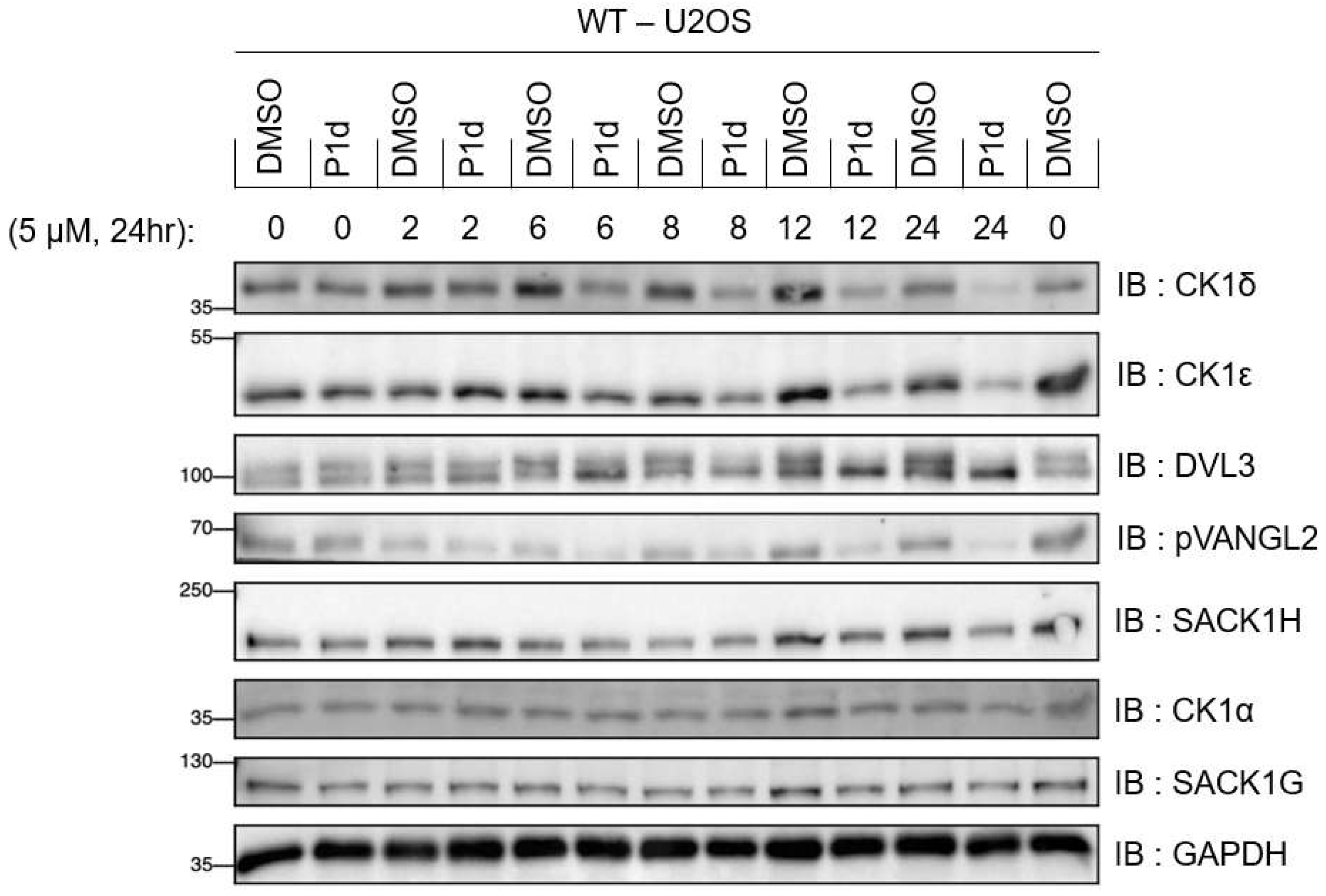 Preprints 182929 g008