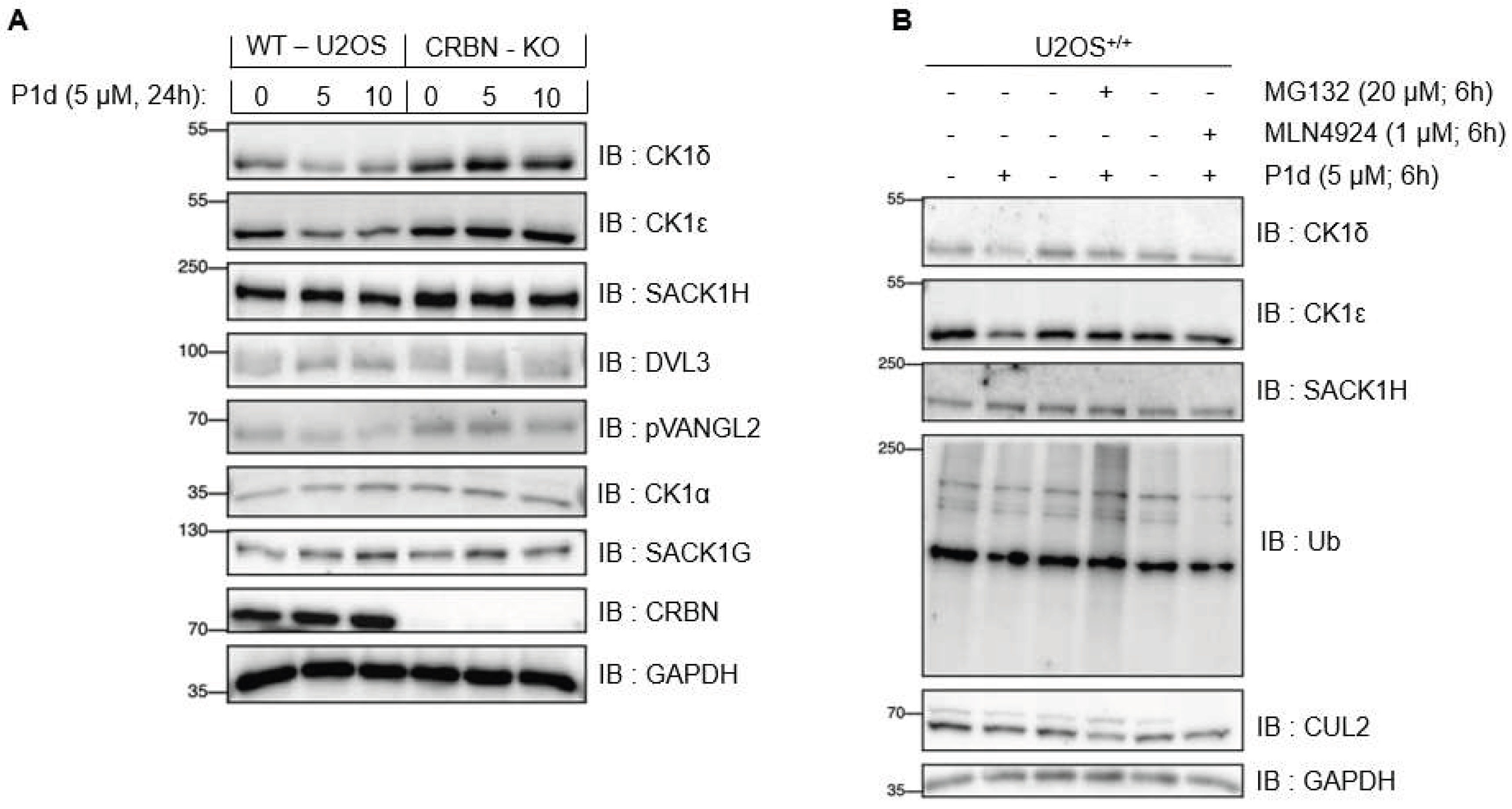 Preprints 182929 g009
