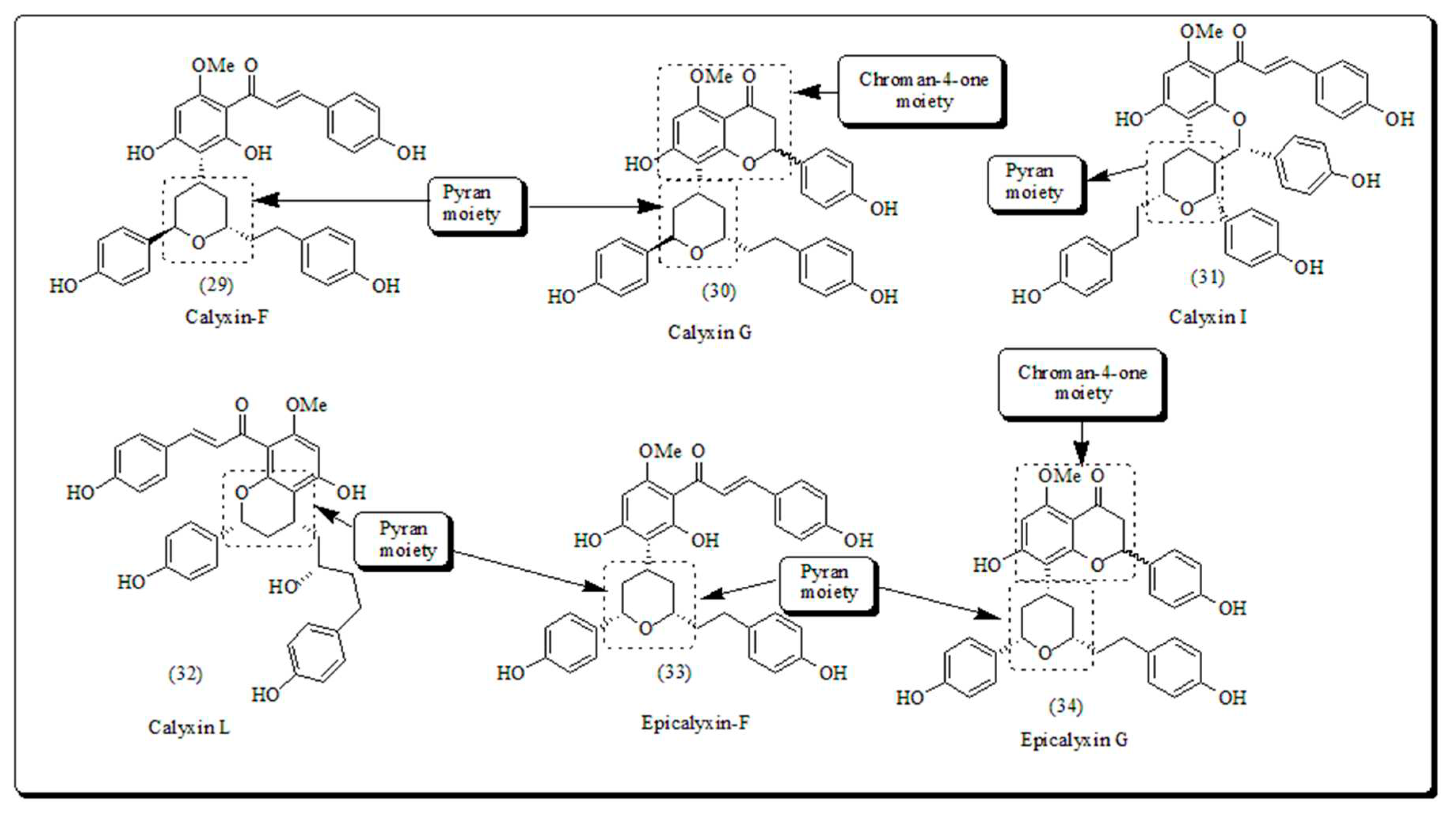 Preprints 82238 g003