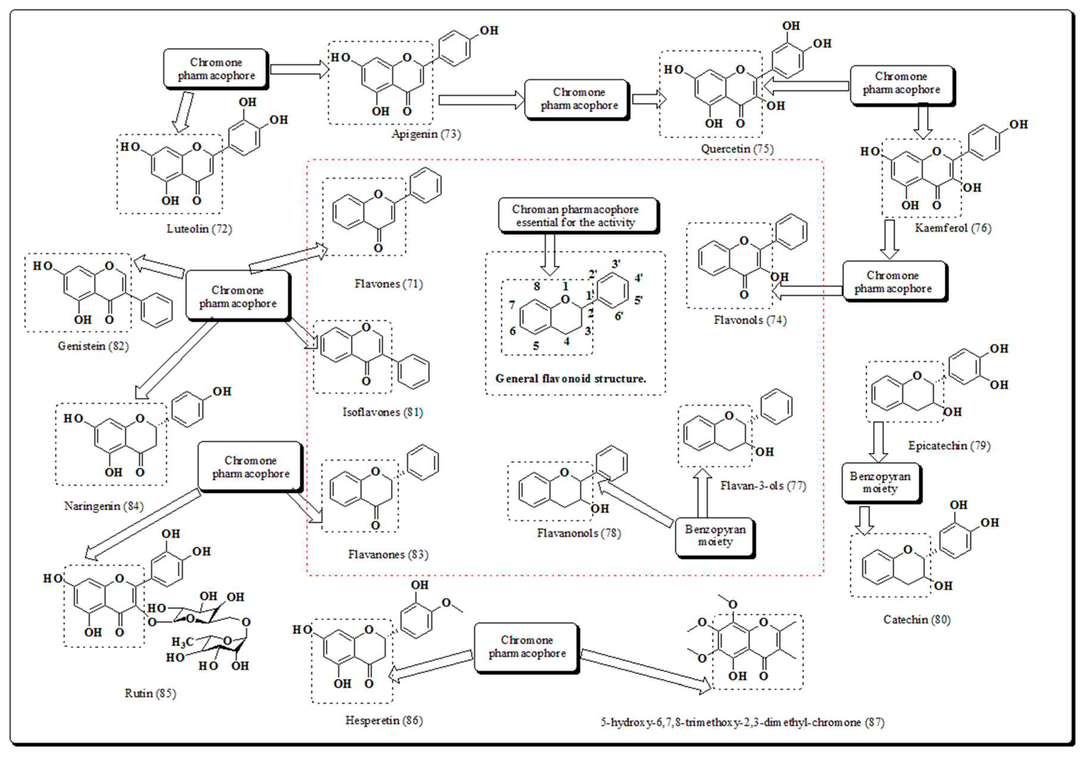 Preprints 82238 g010