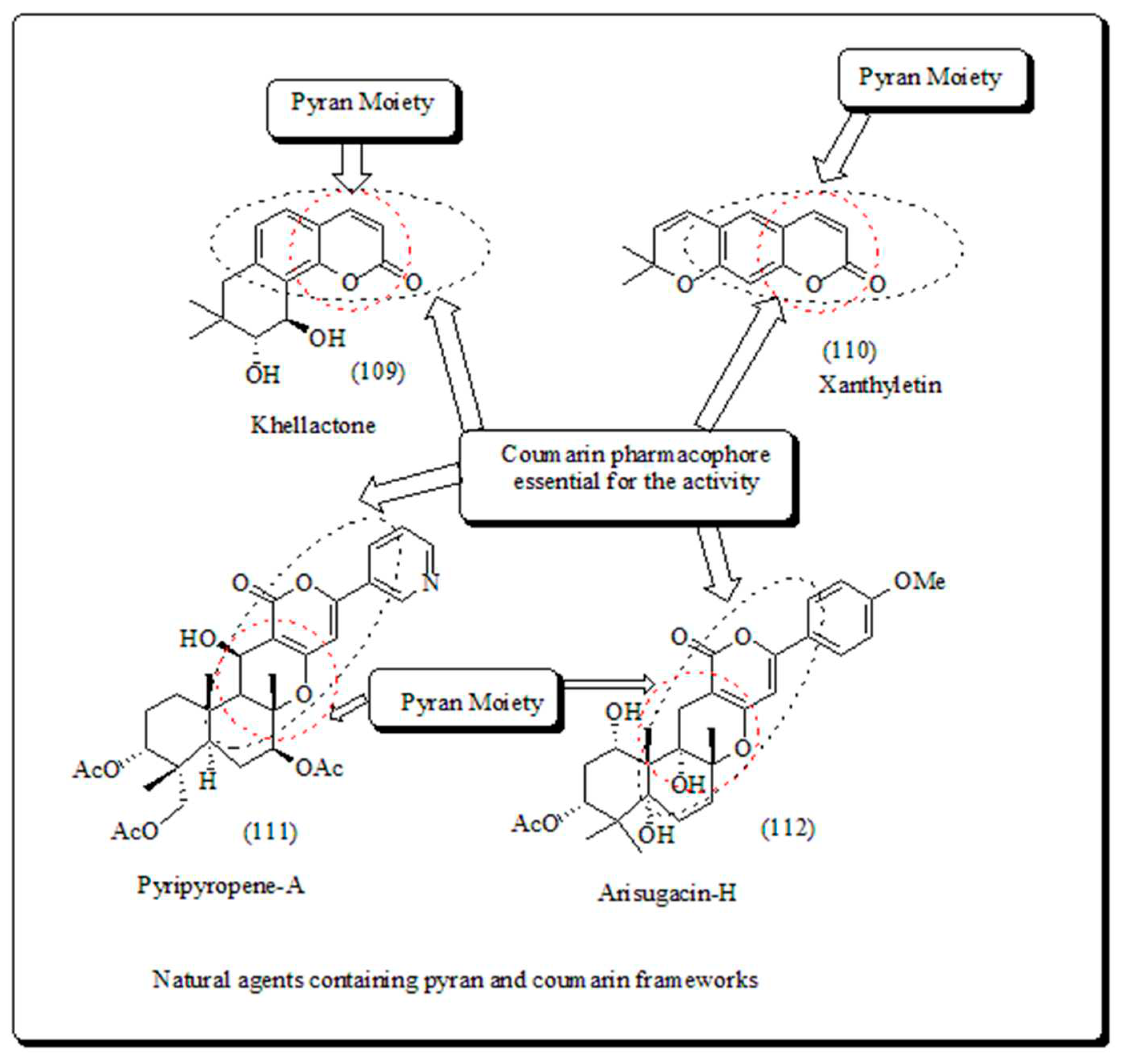 Preprints 82238 g016