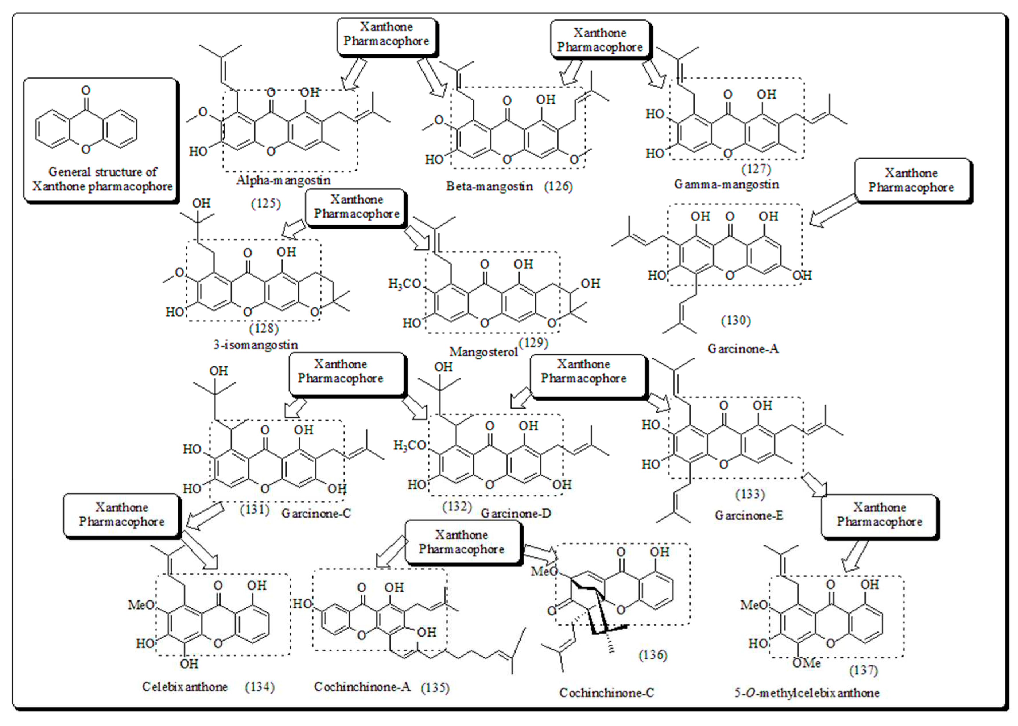 Preprints 82238 g020