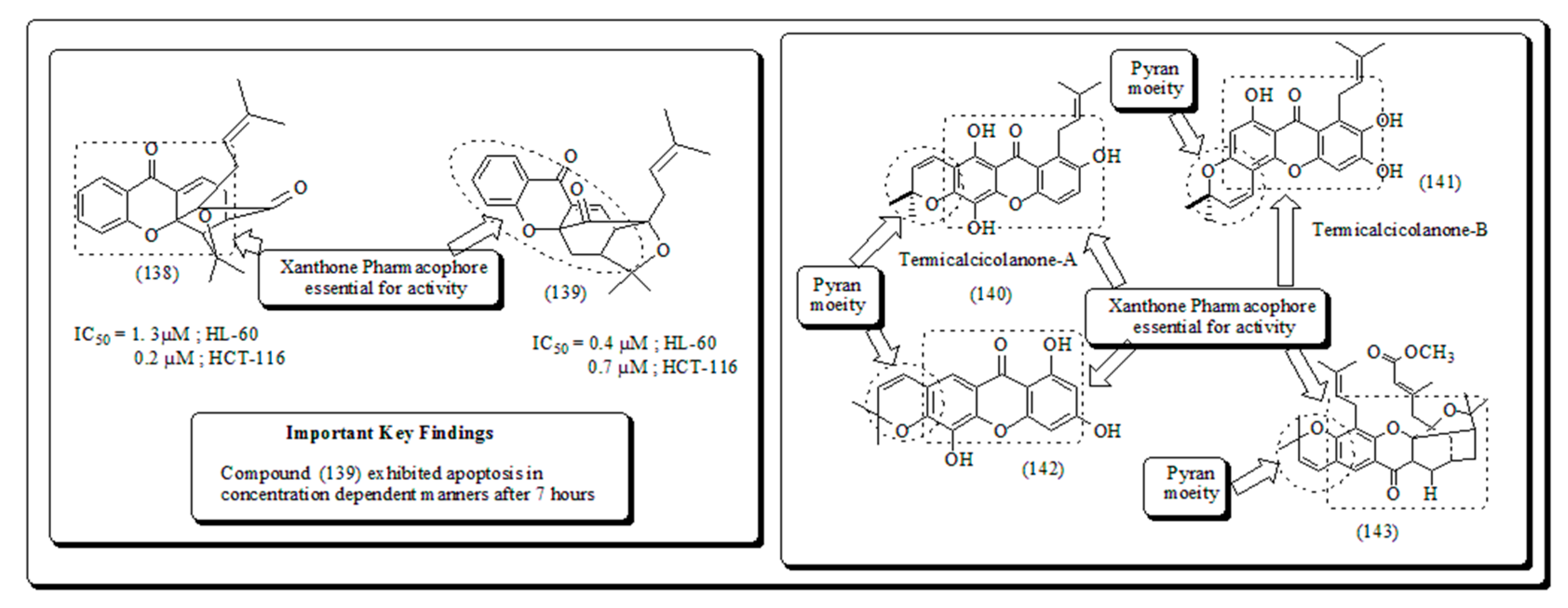 Preprints 82238 g021
