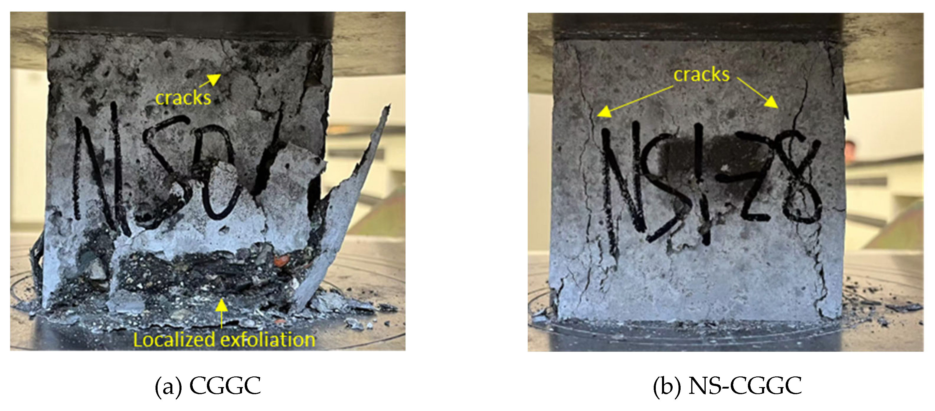 Preprints 159618 g004