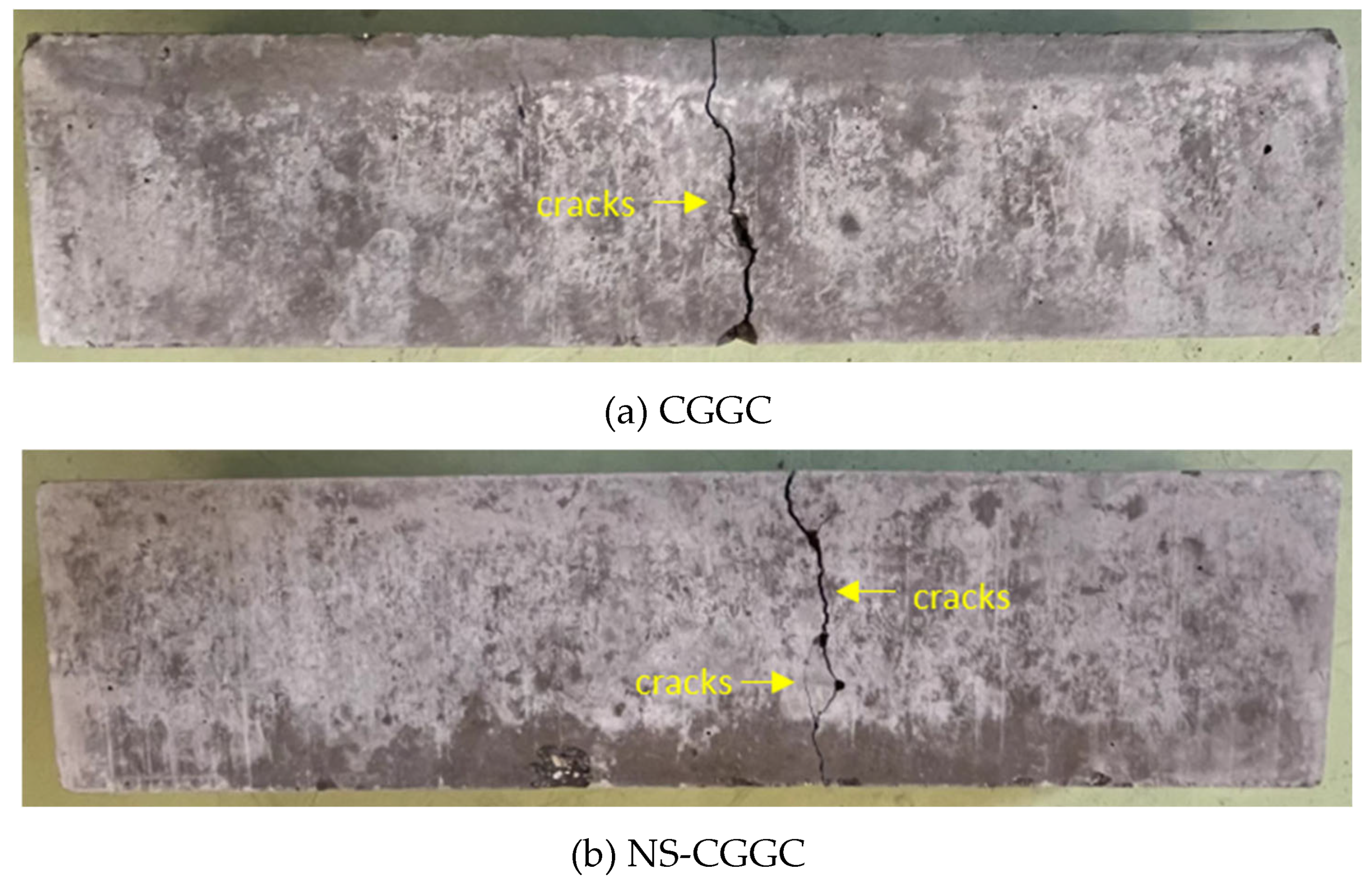 Preprints 159618 g008