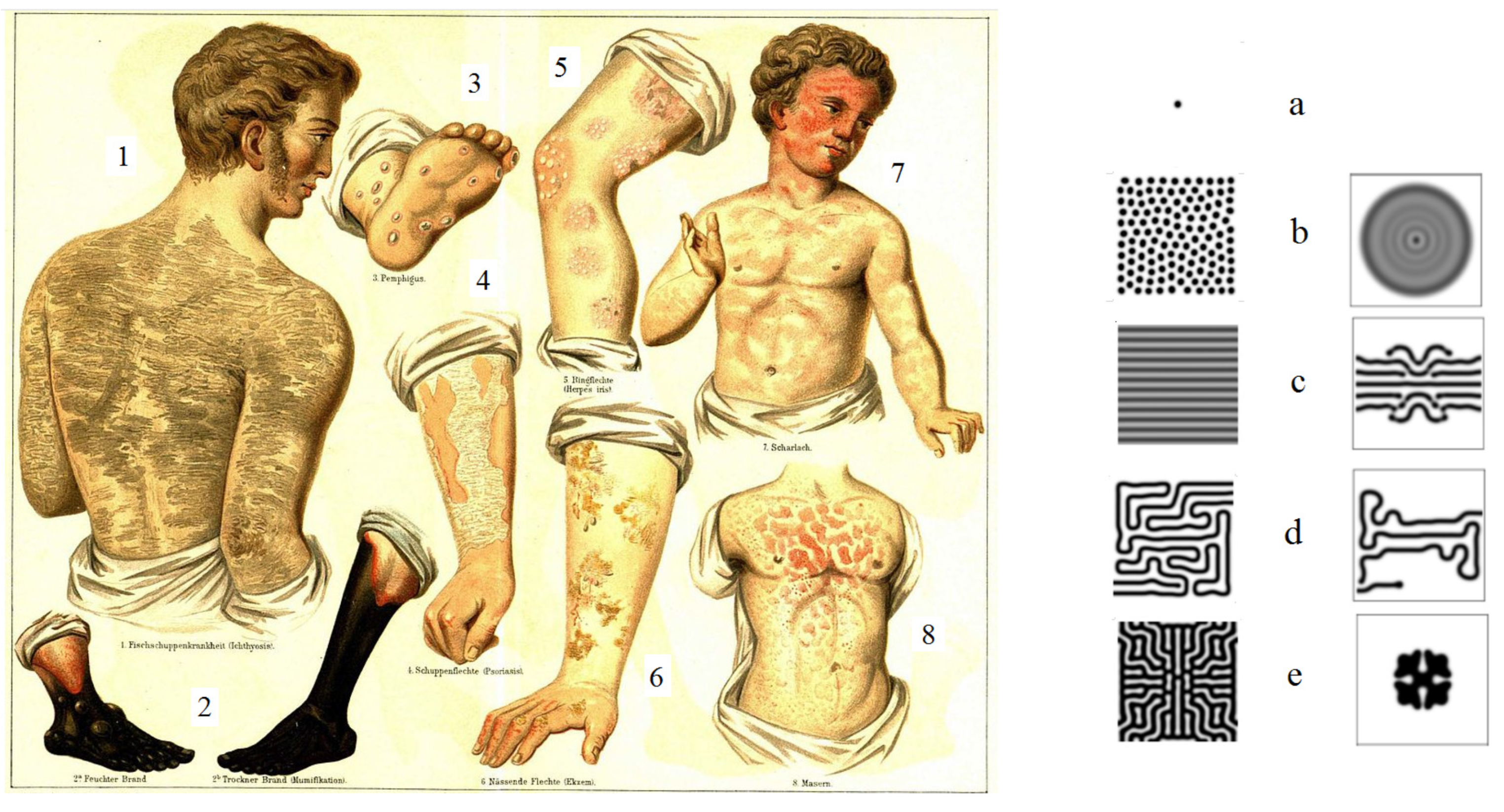 Preprints 109378 g007