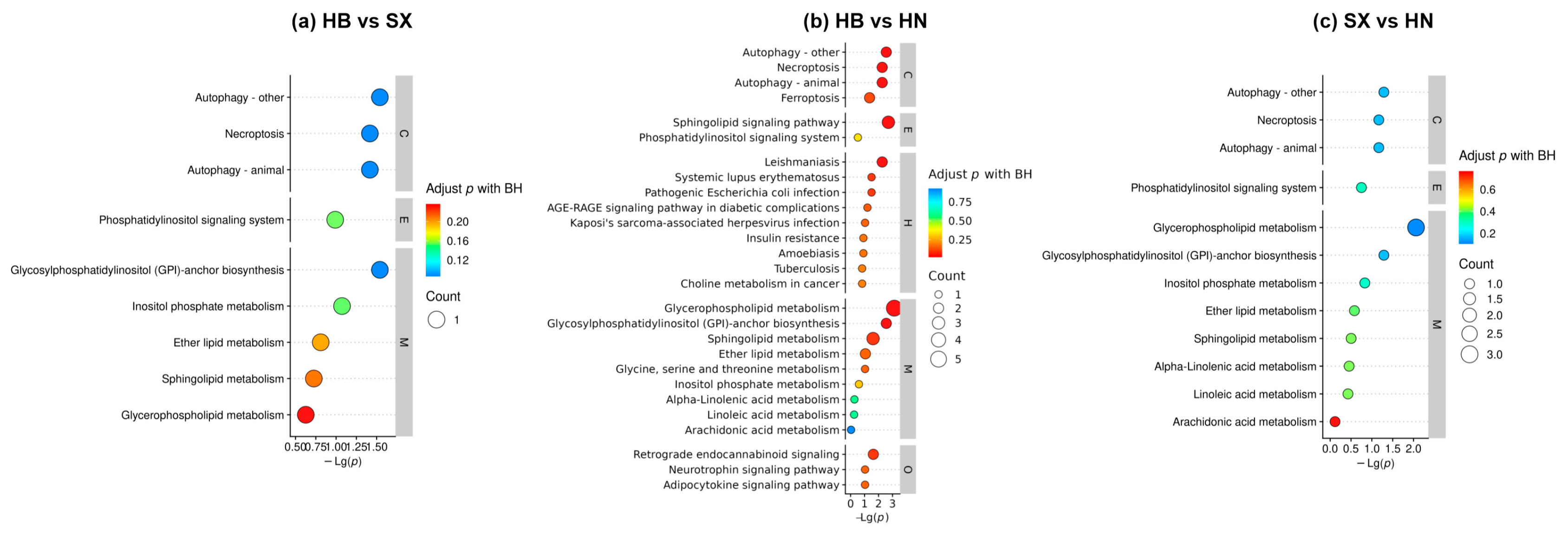 Preprints 156855 g004