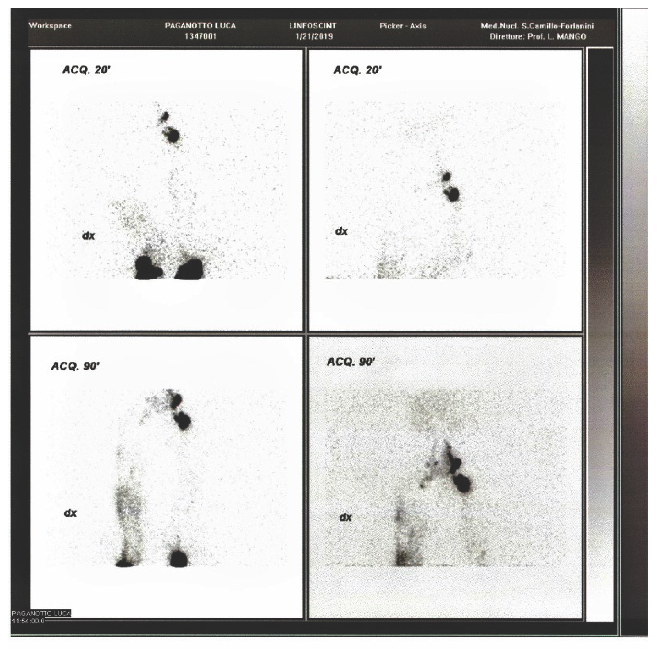 Preprints 190292 g003