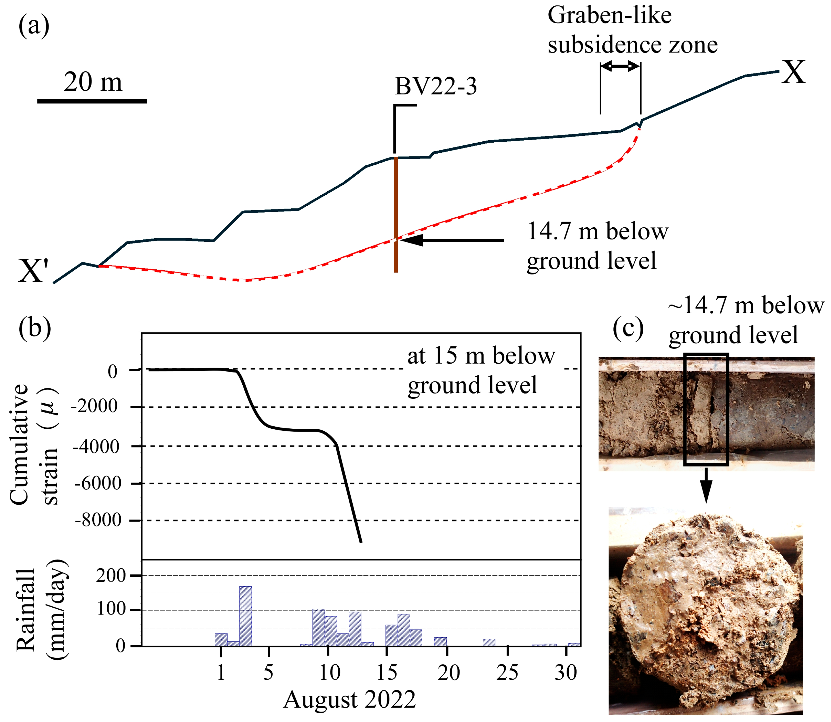 Preprints 208490 g003