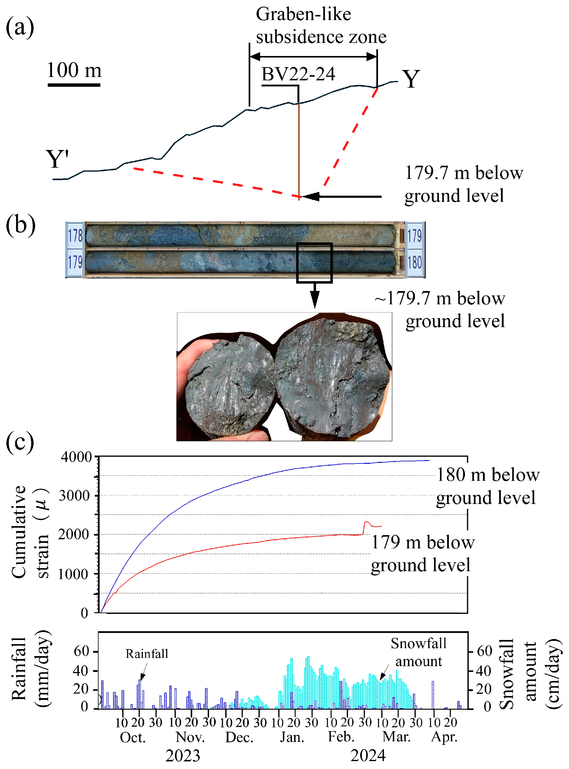 Preprints 208490 g005