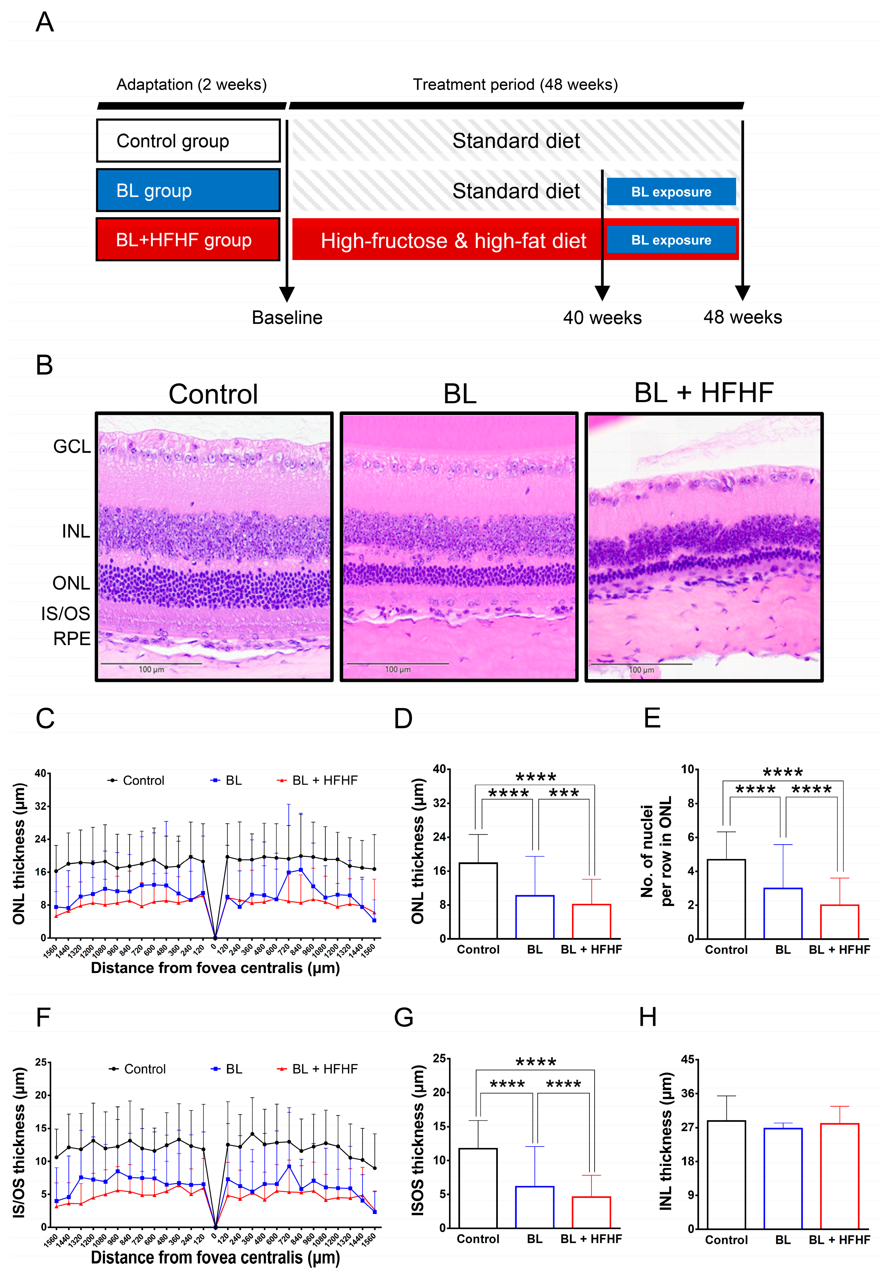 Preprints 164542 g001