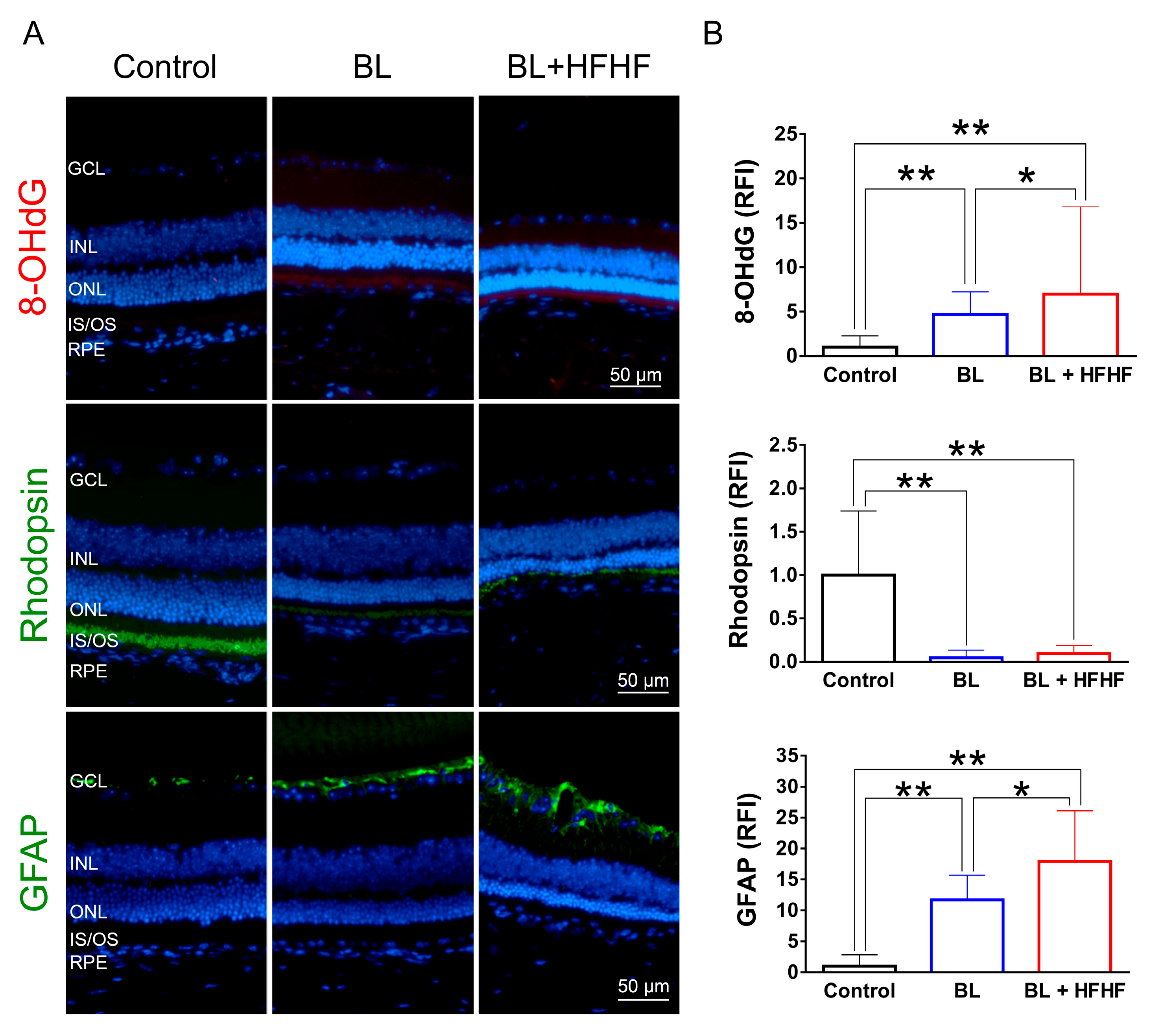 Preprints 164542 g002