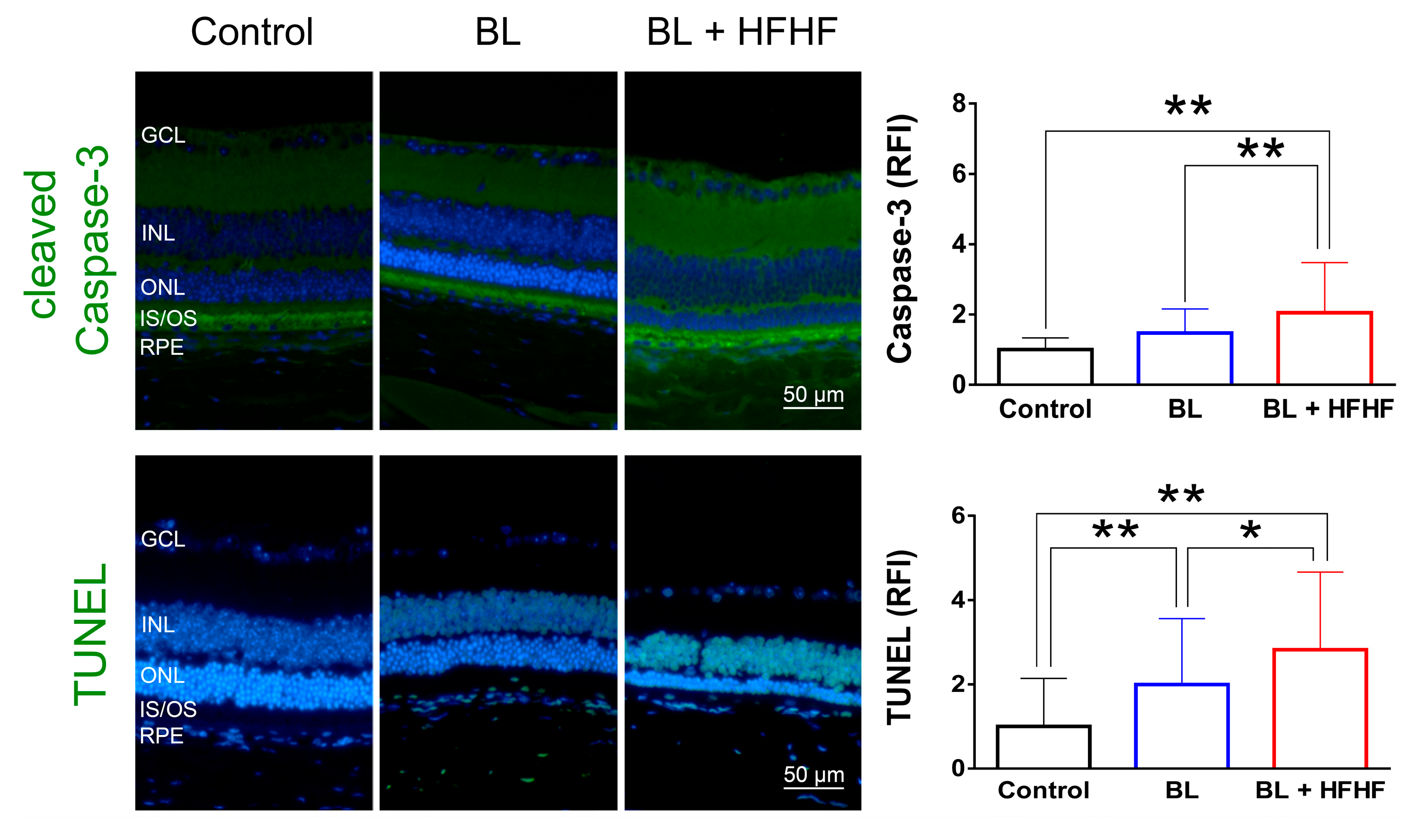 Preprints 164542 g003