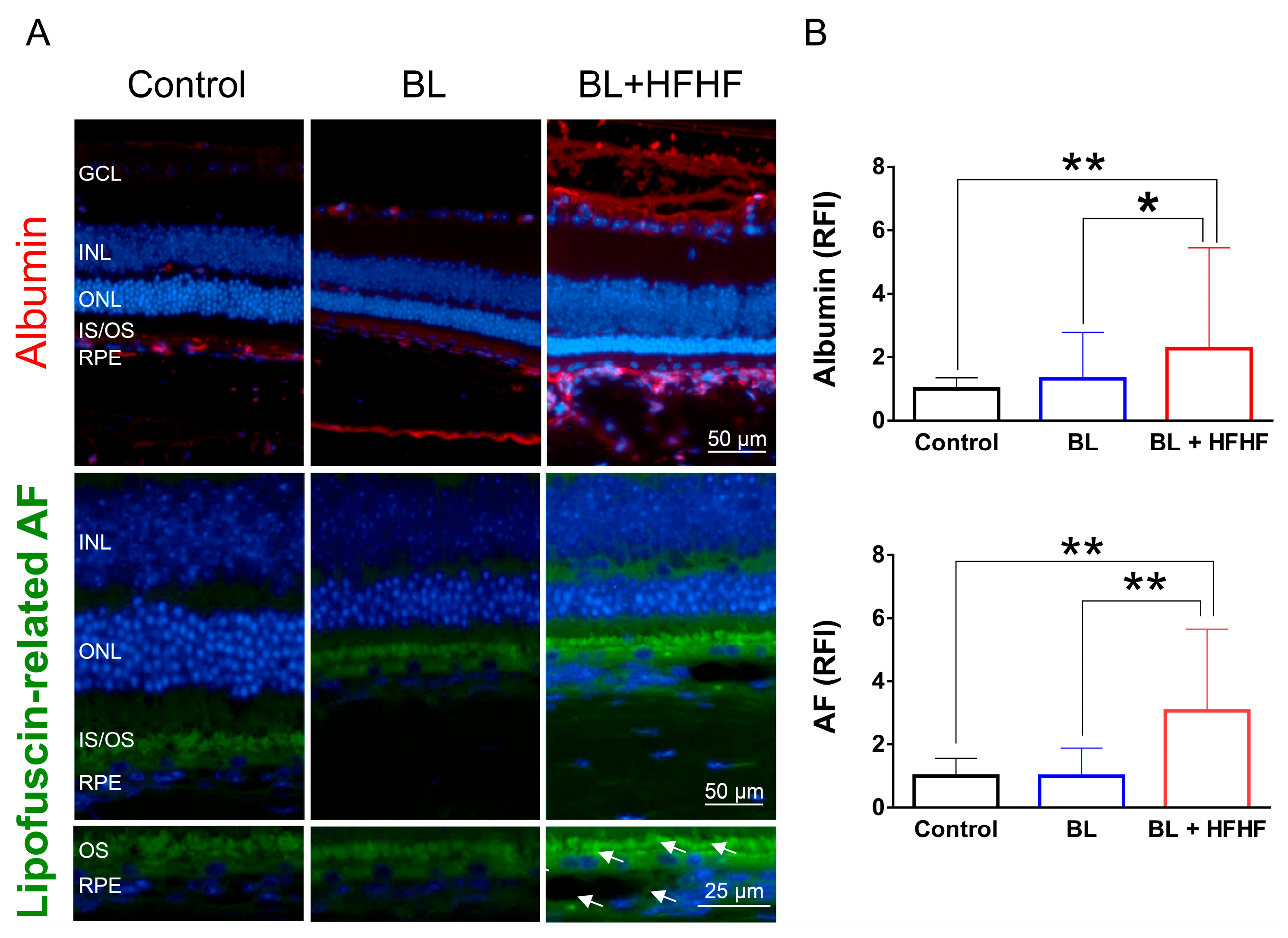 Preprints 164542 g004