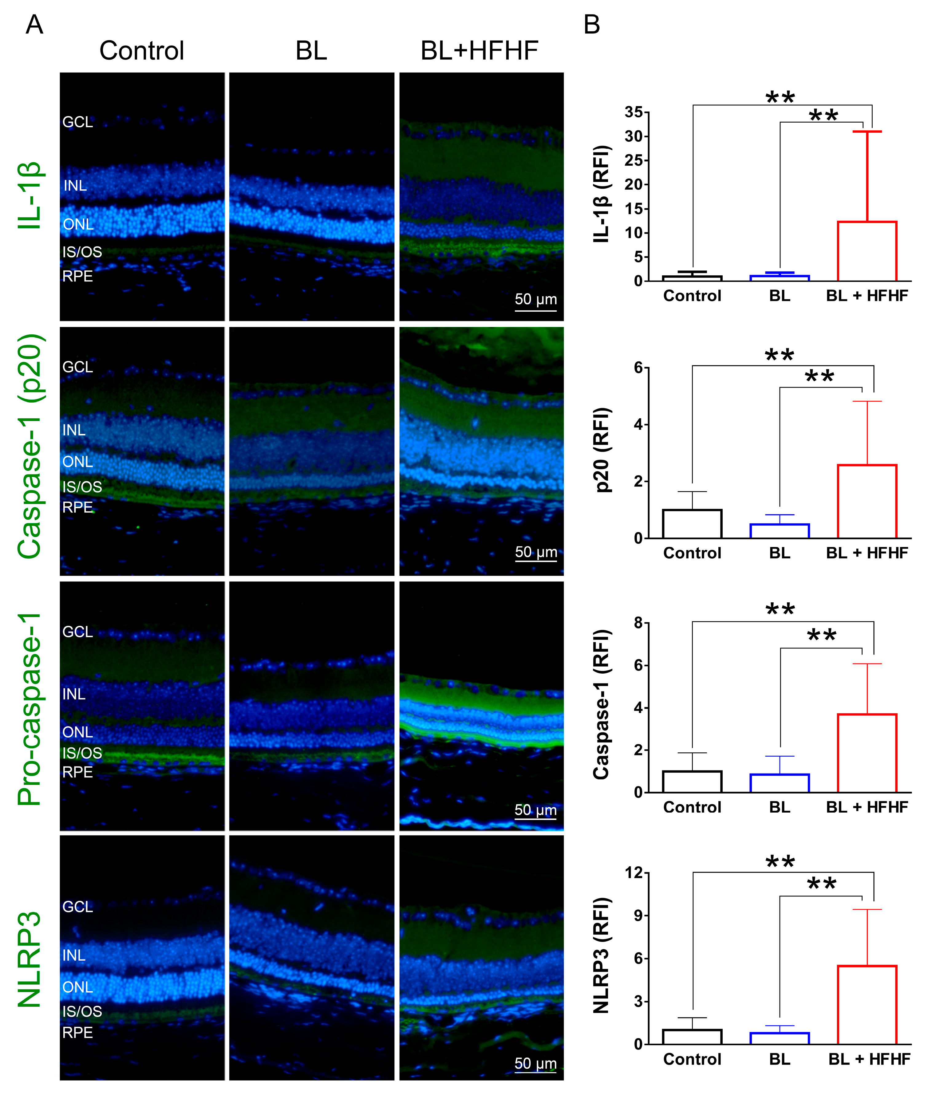 Preprints 164542 g006