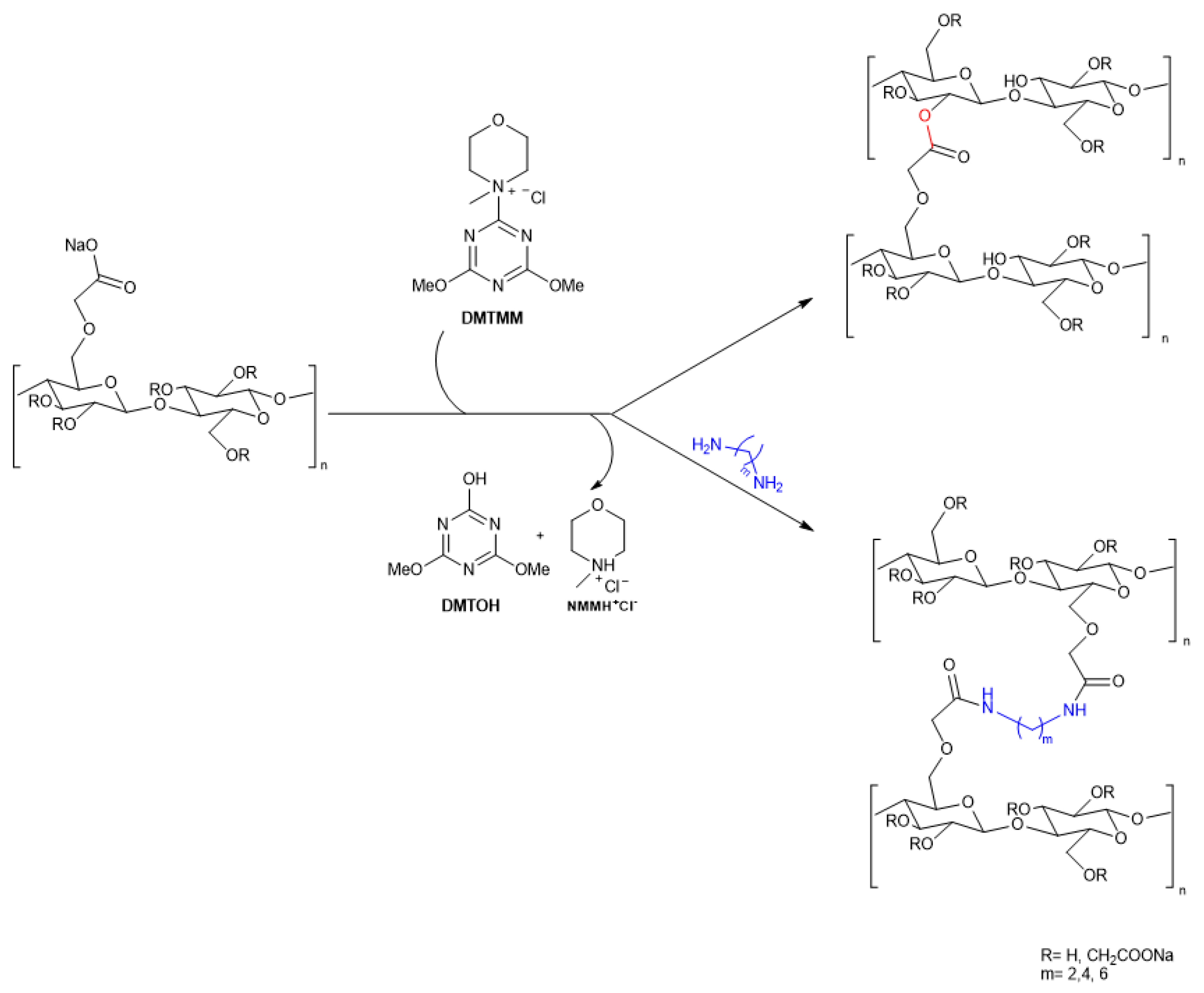 Preprints 197763 g002
