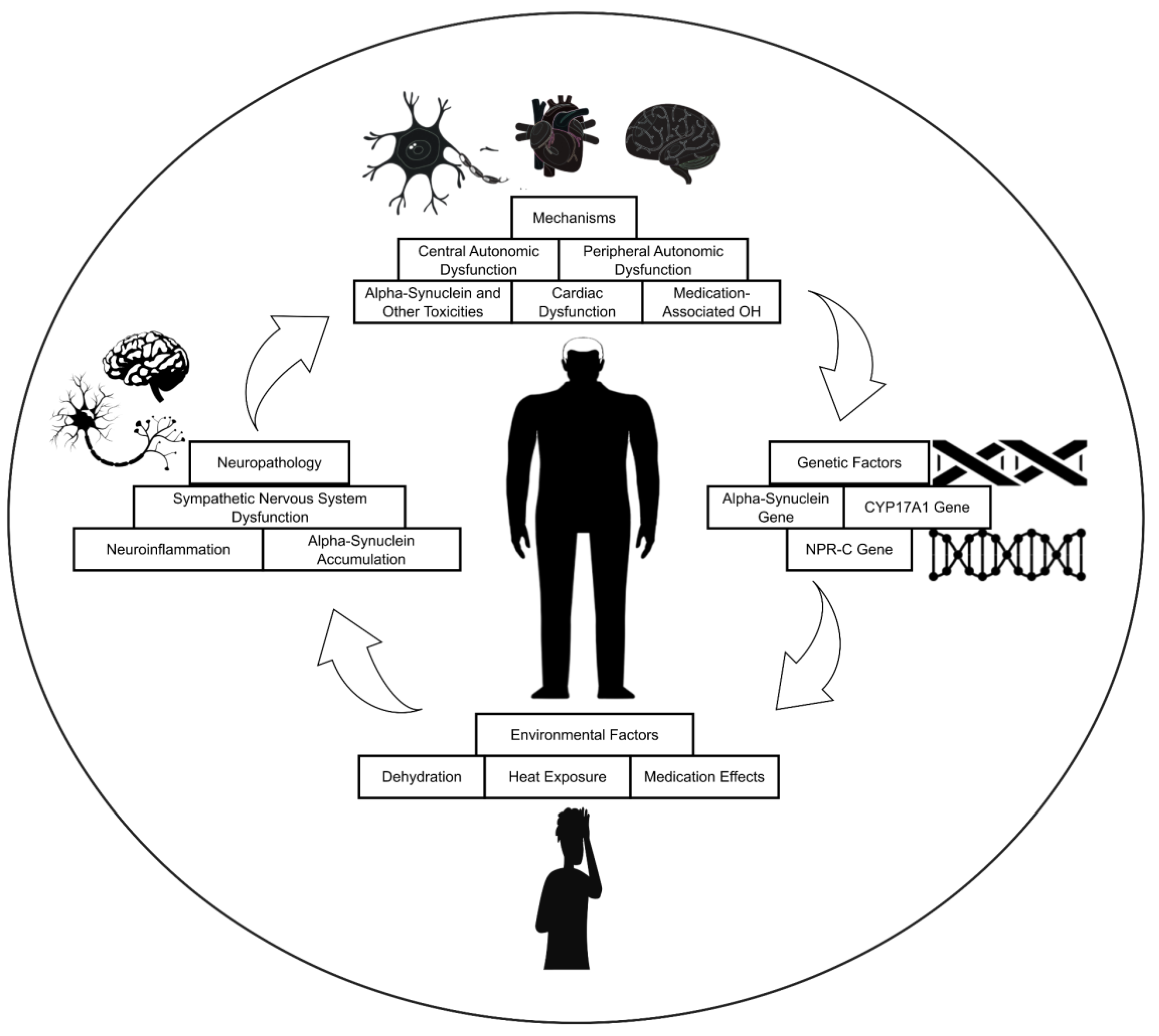Preprints 150279 g003
