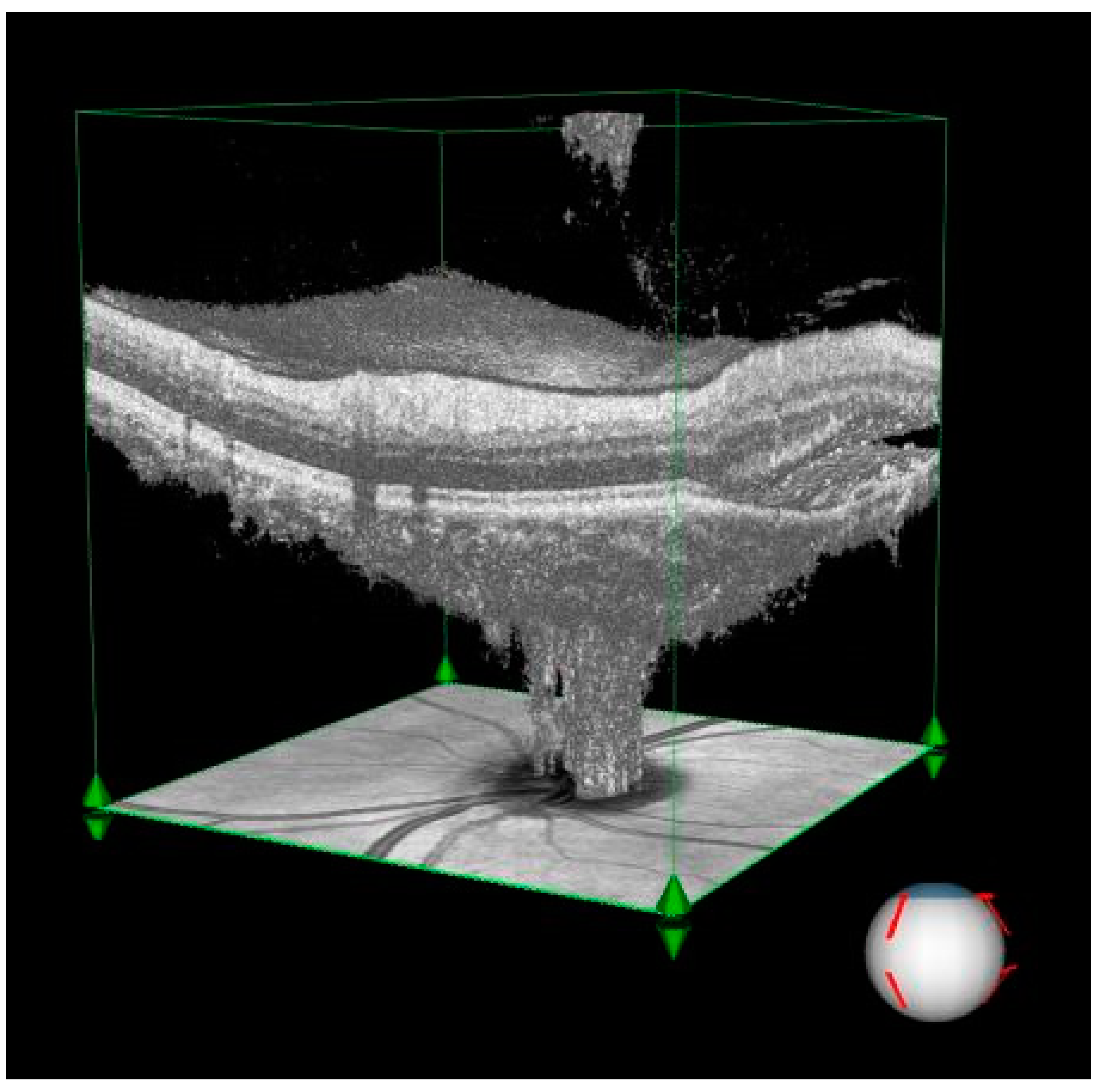 Preprints 142569 g001