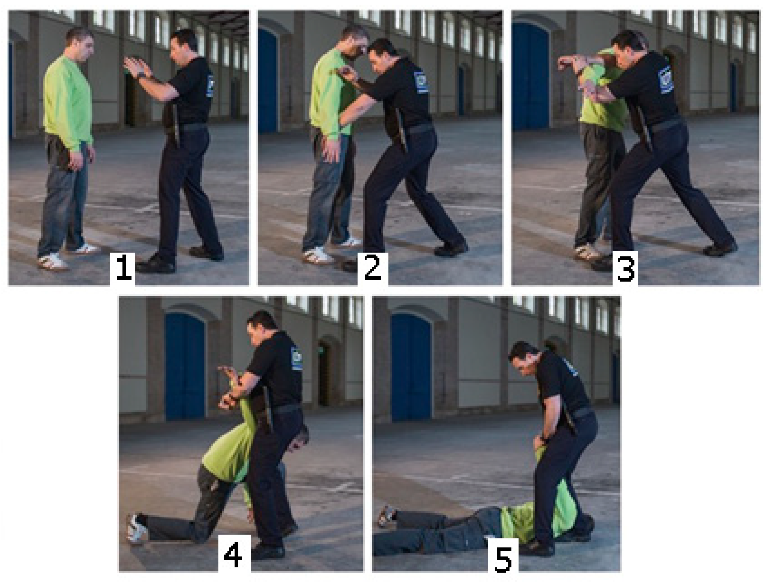 Preprints 71604 g005