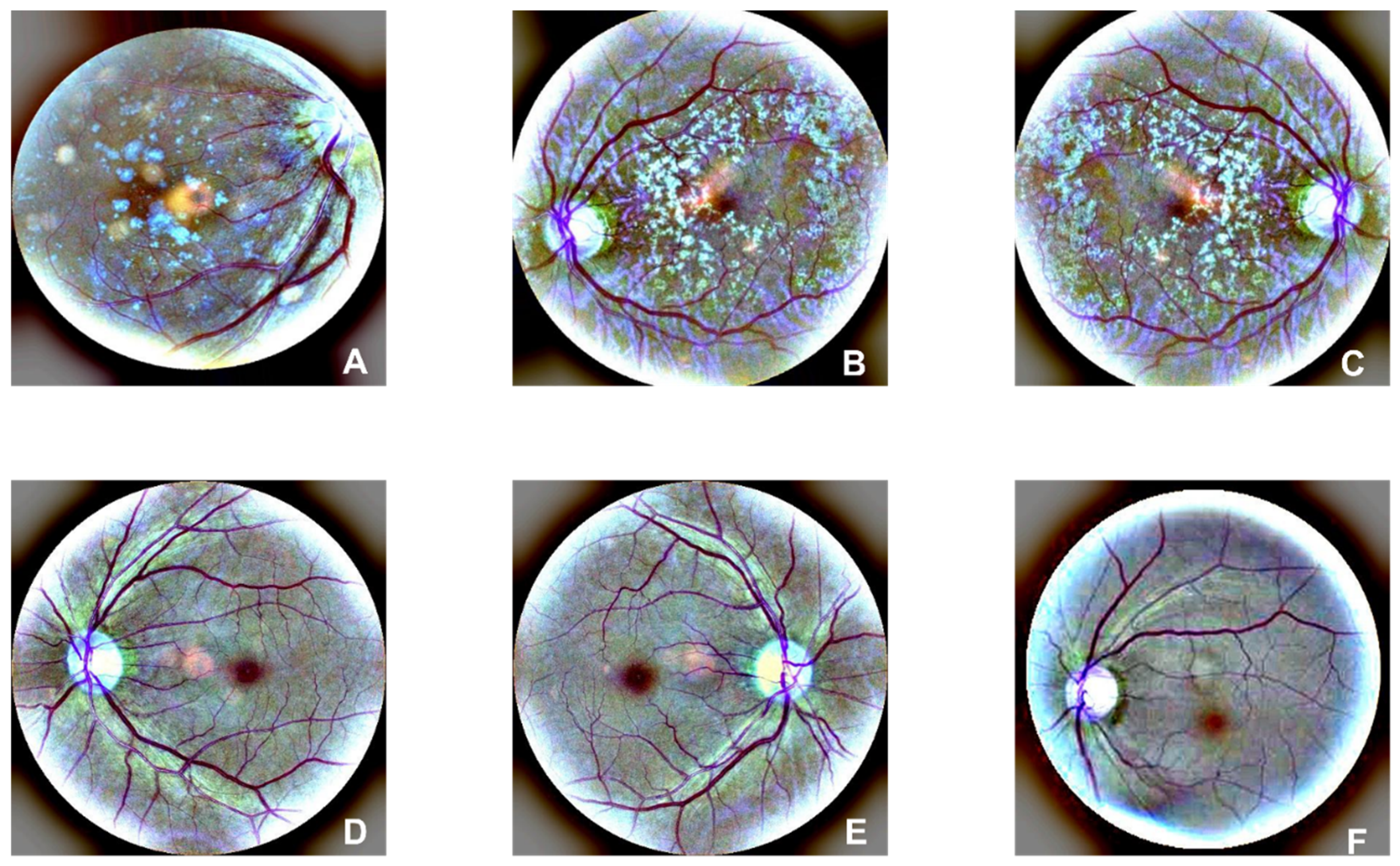 Preprints 72828 g002