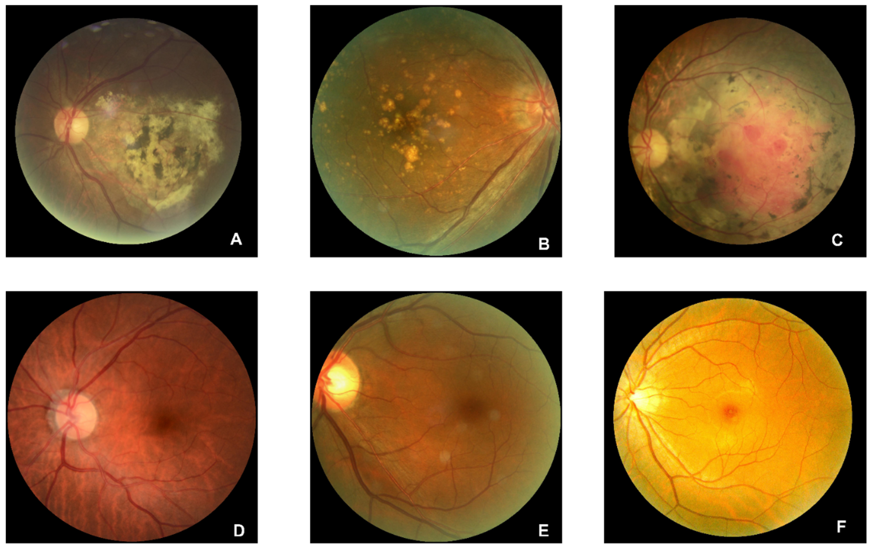 Preprints 72828 g003