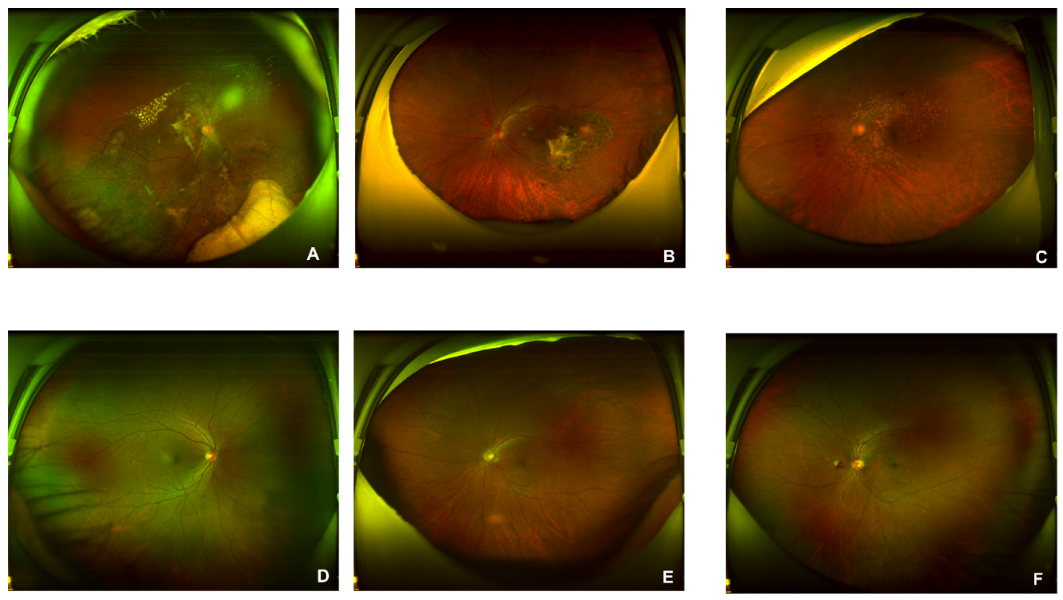 Preprints 72828 g004
