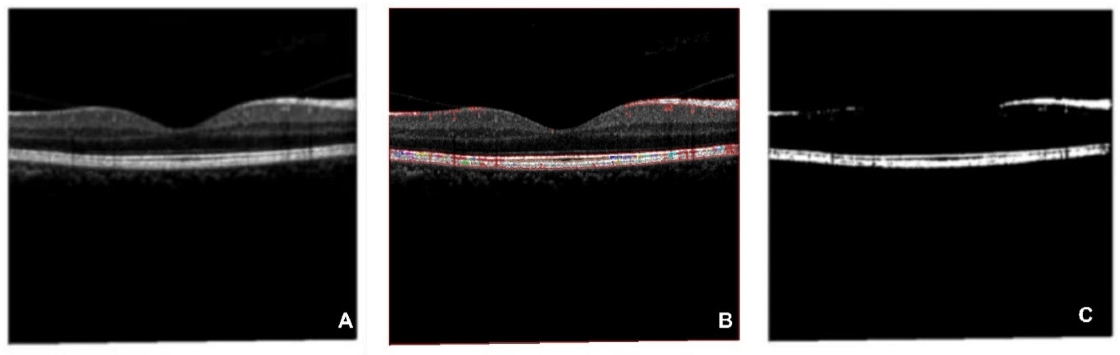 Preprints 72828 g009