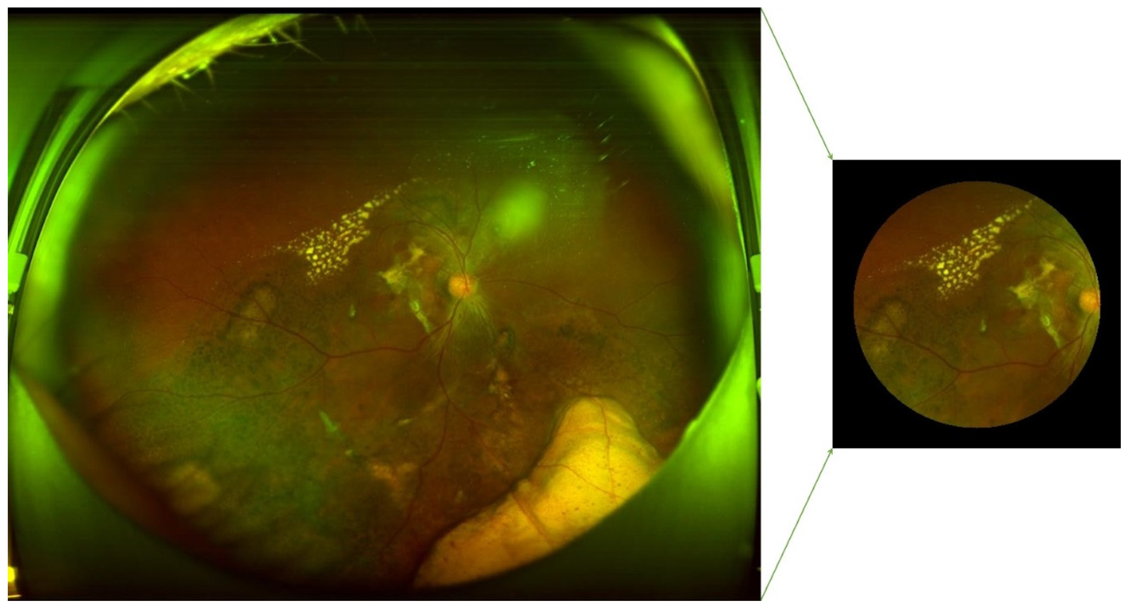 Preprints 72828 g010