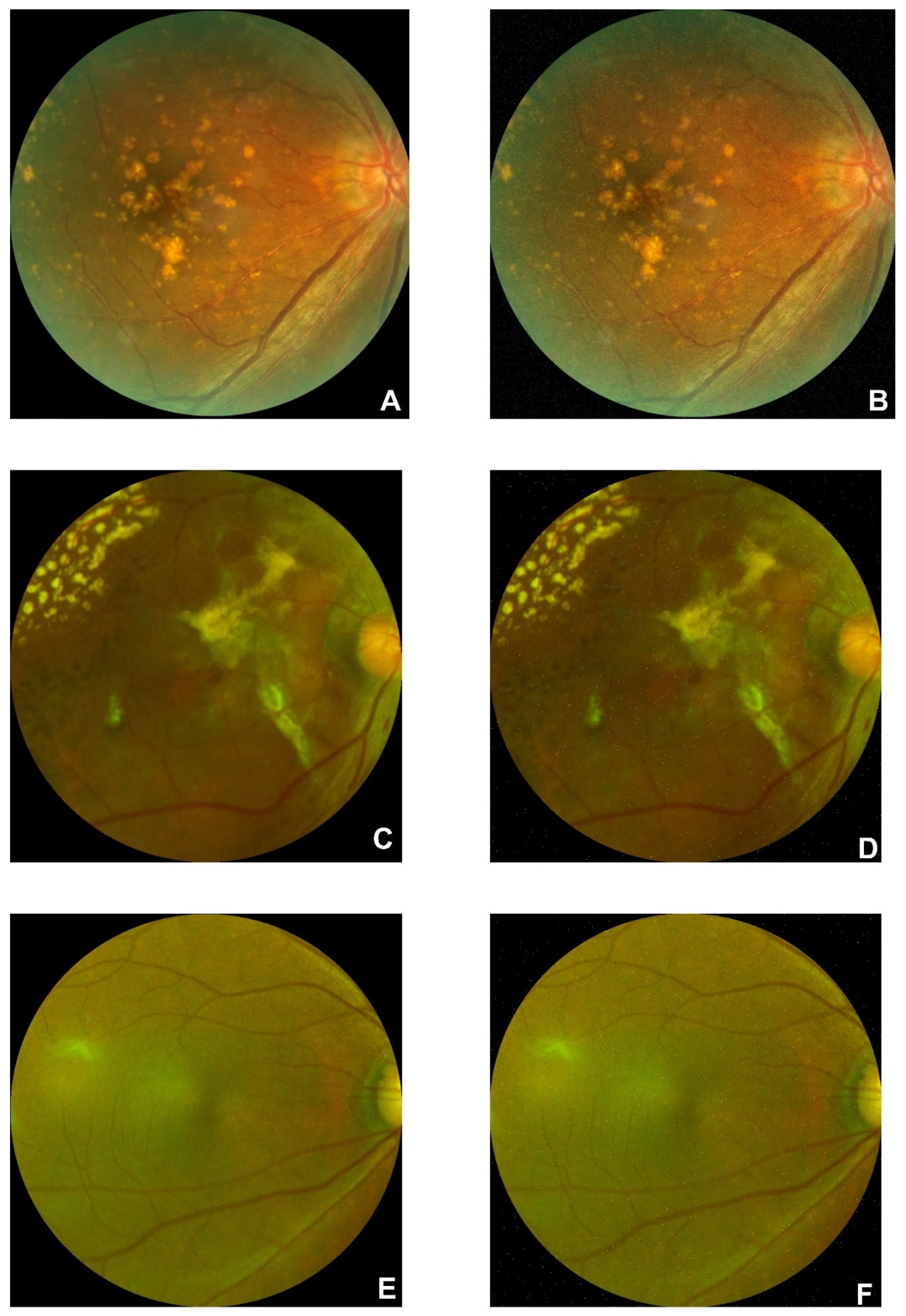 Preprints 72828 g011