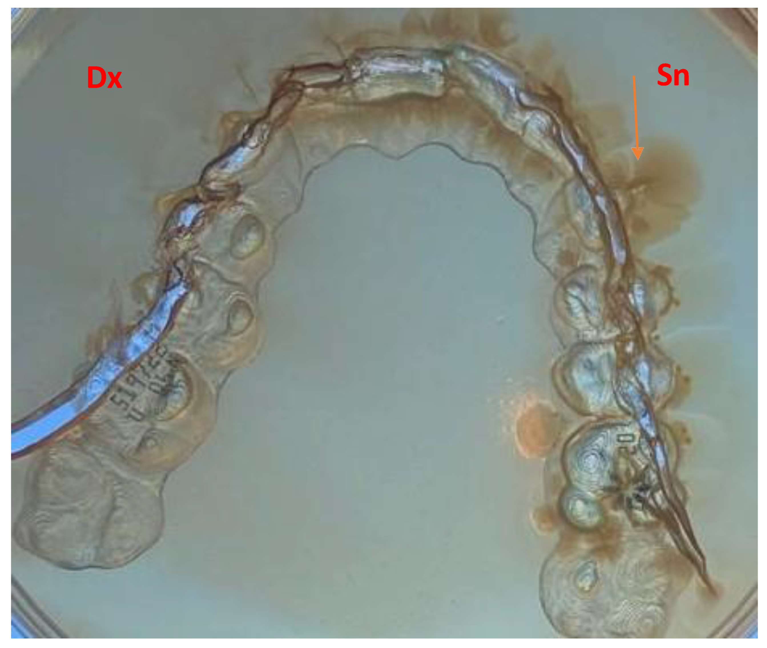 Preprints 169532 g001